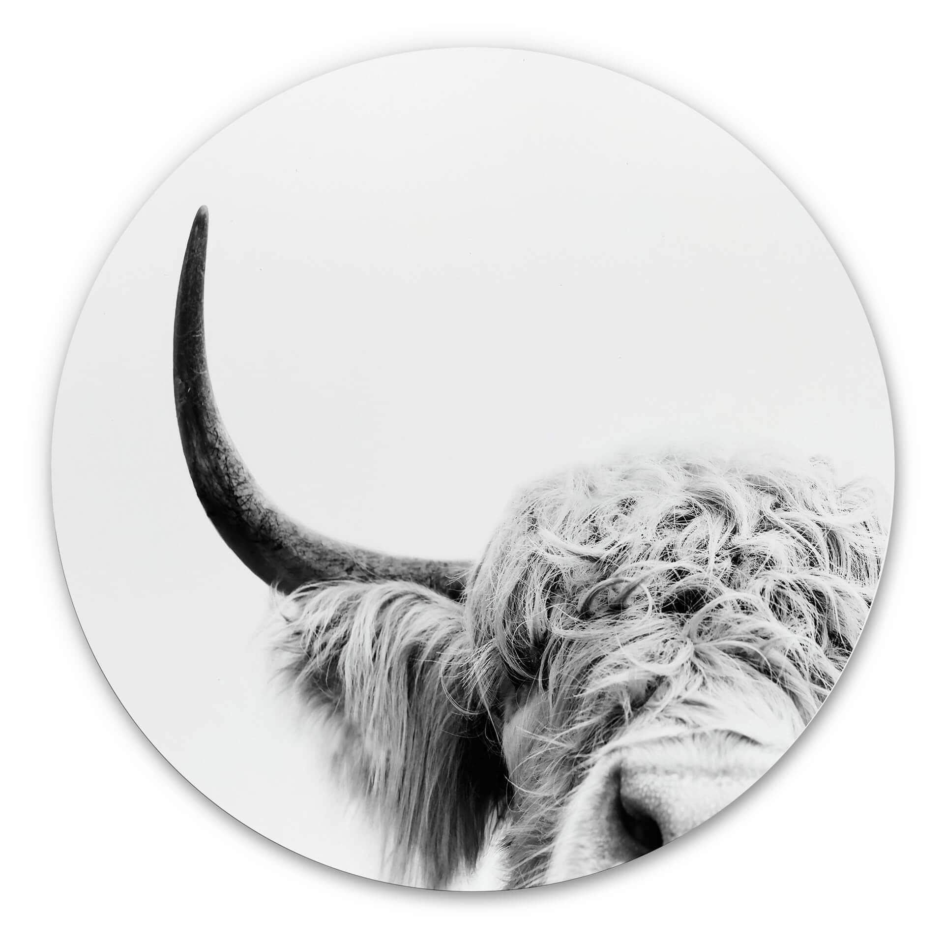 Wandcirkel Sisi & Seb - Bull