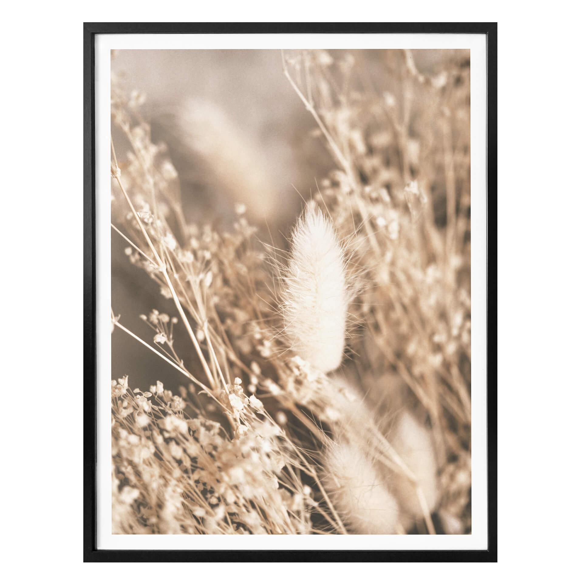 Plakat - Annie - Pumpkin Grass