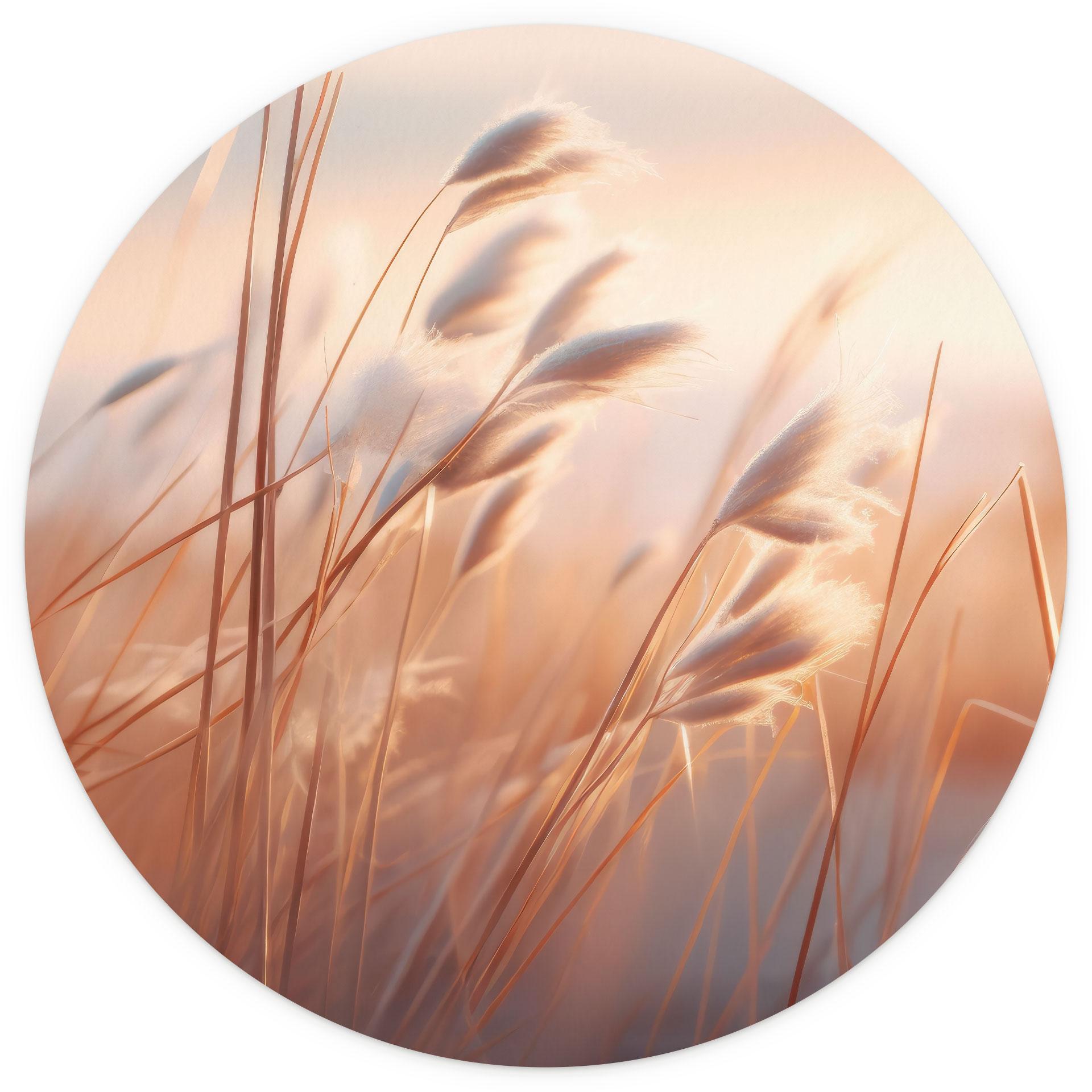 Fotobehang Duingras in de avondzon - Treechild - Rond - vliesbehang/zelfklevend vliesbehang