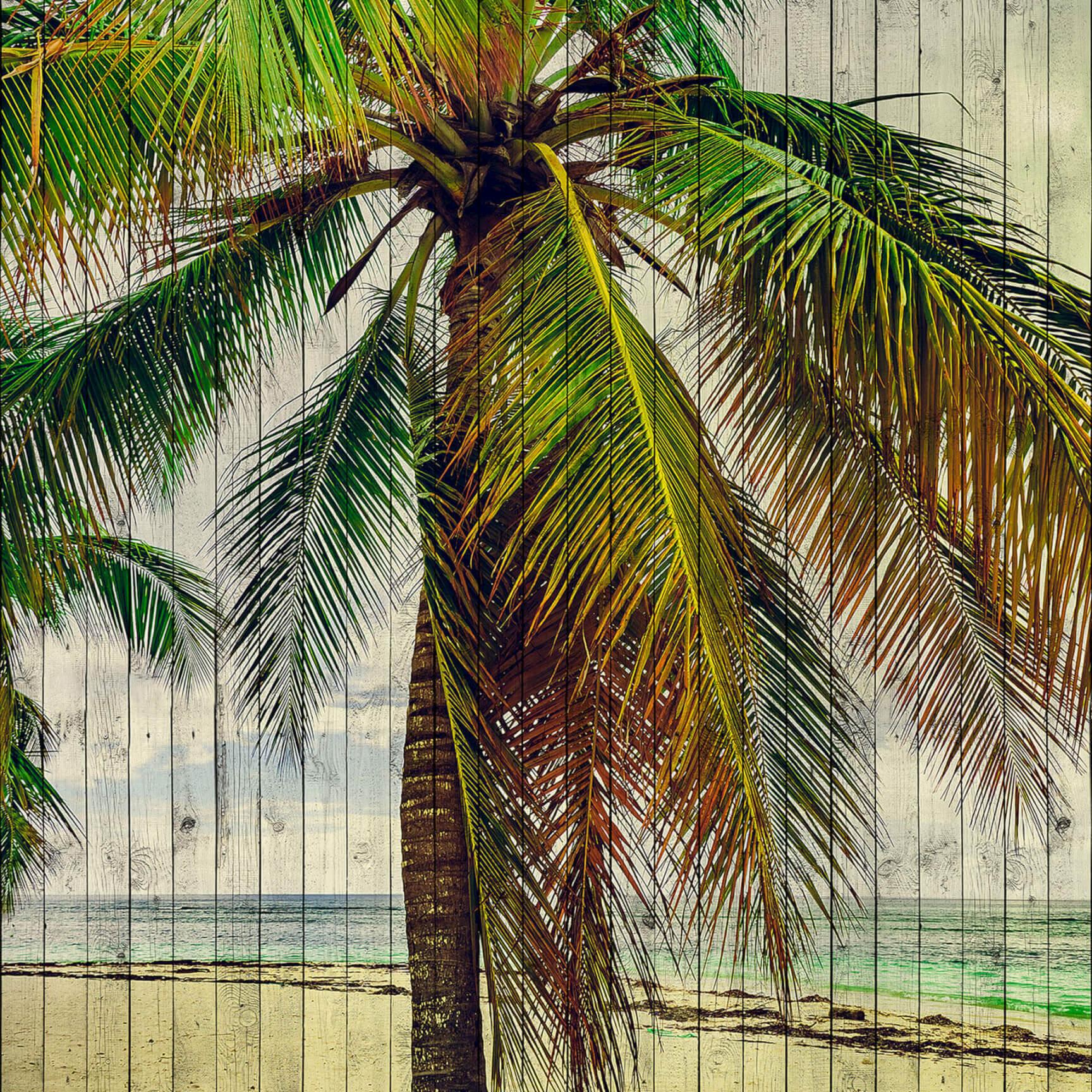 Livingwalls Fotobehang Walls by Patel 2 tahiti 3