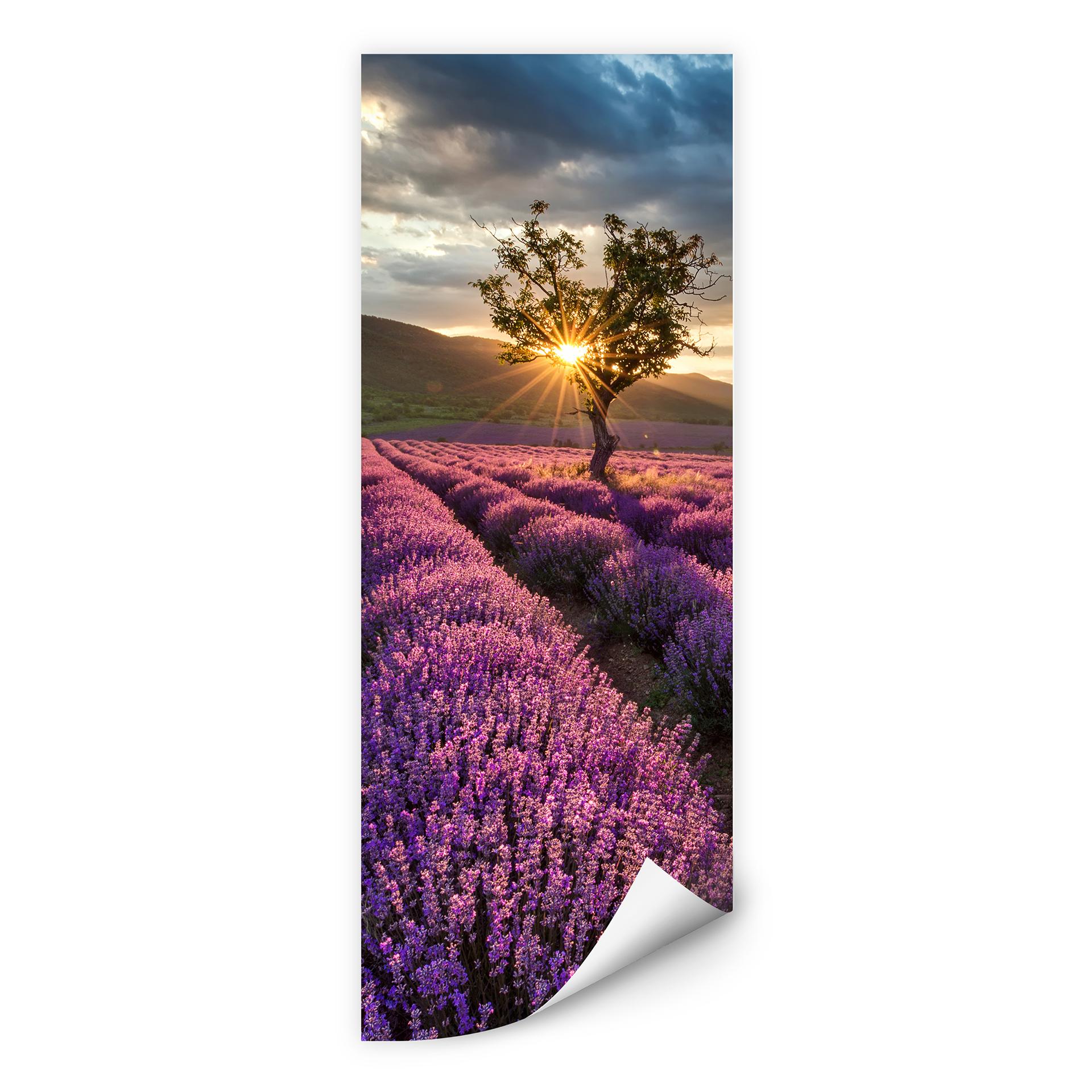 Zelfklevende Poster - Lavendel in de Provence