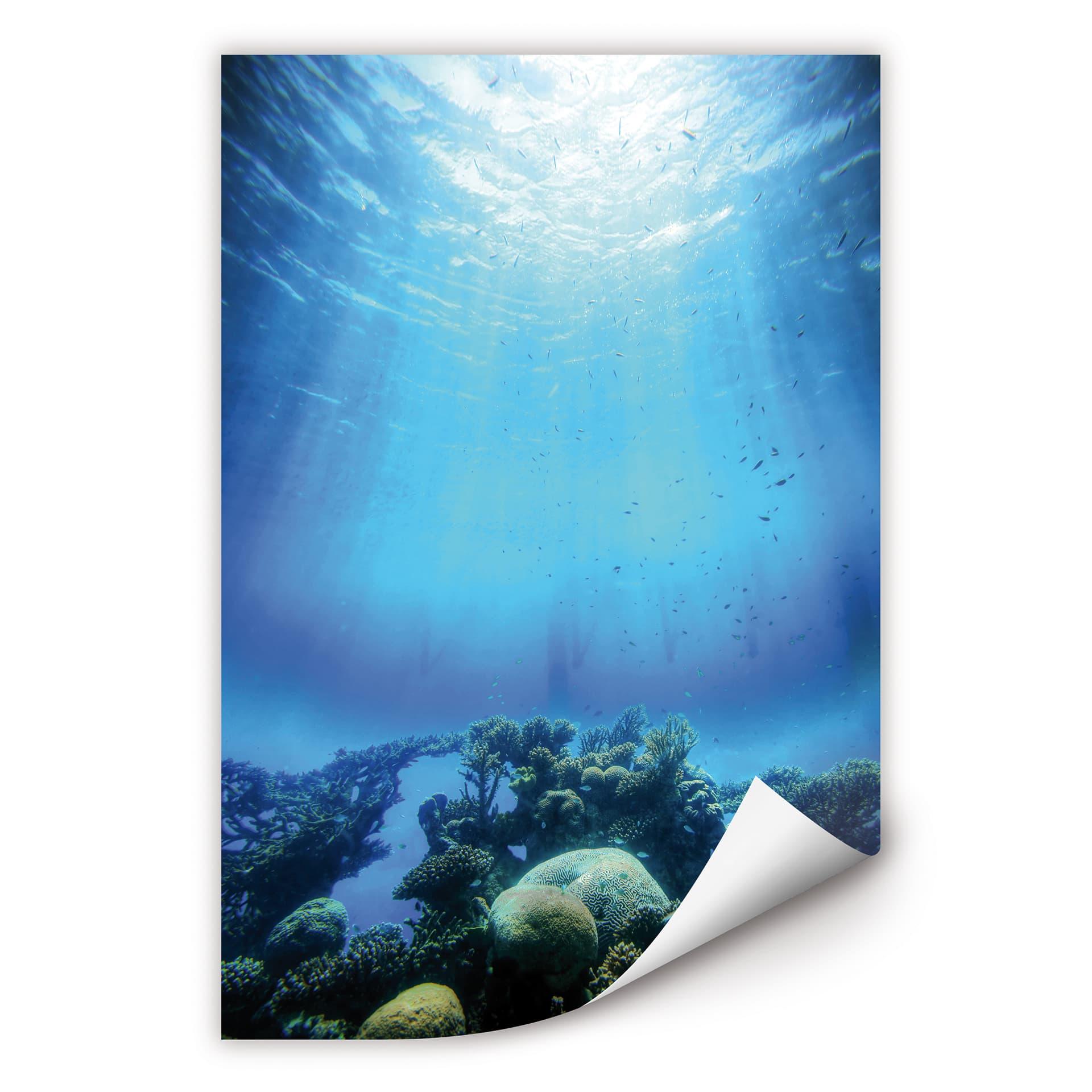 Poster autocollant - W - Fonds Marins