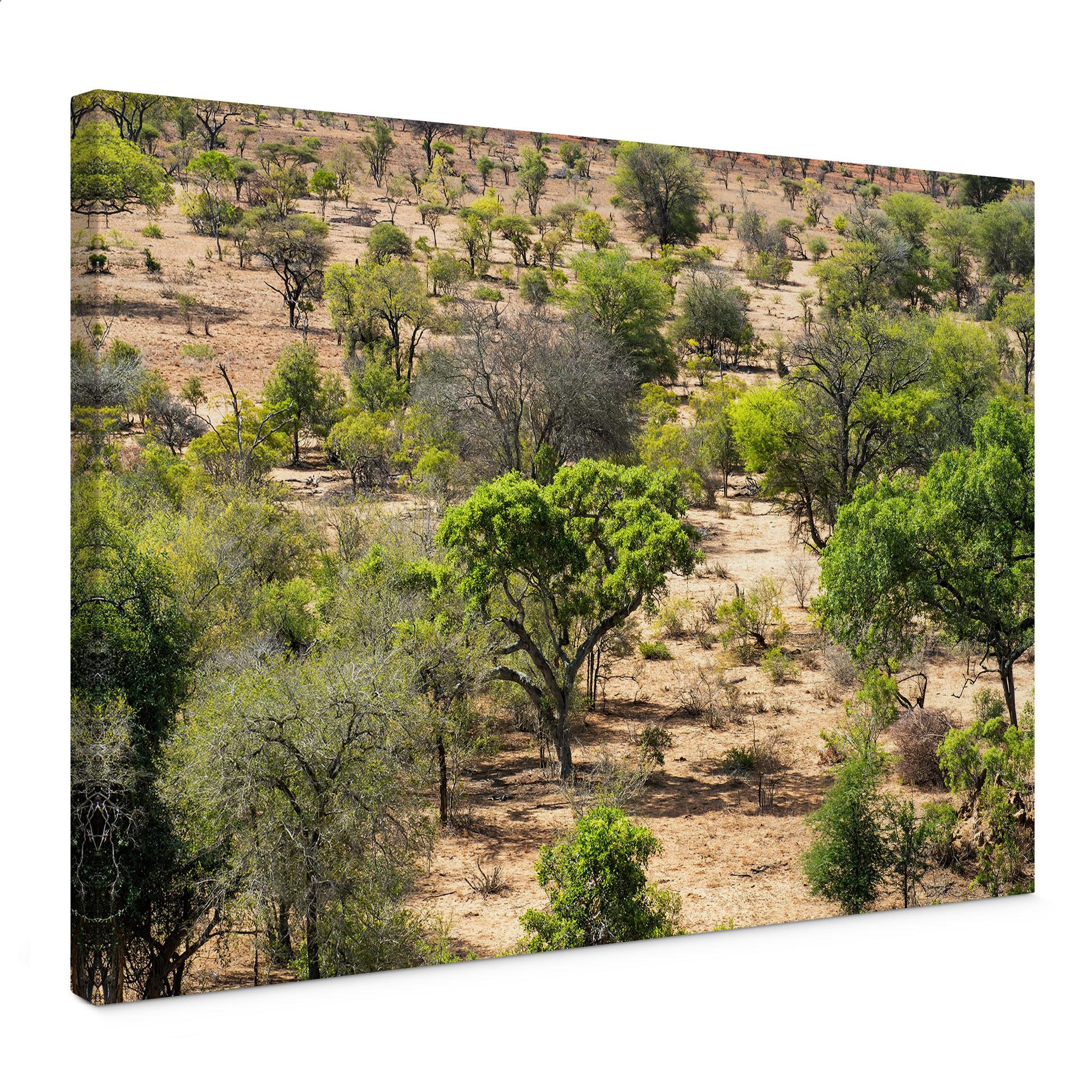 Canvasbillede Savanne-landskab i Afrika - Hugonnard