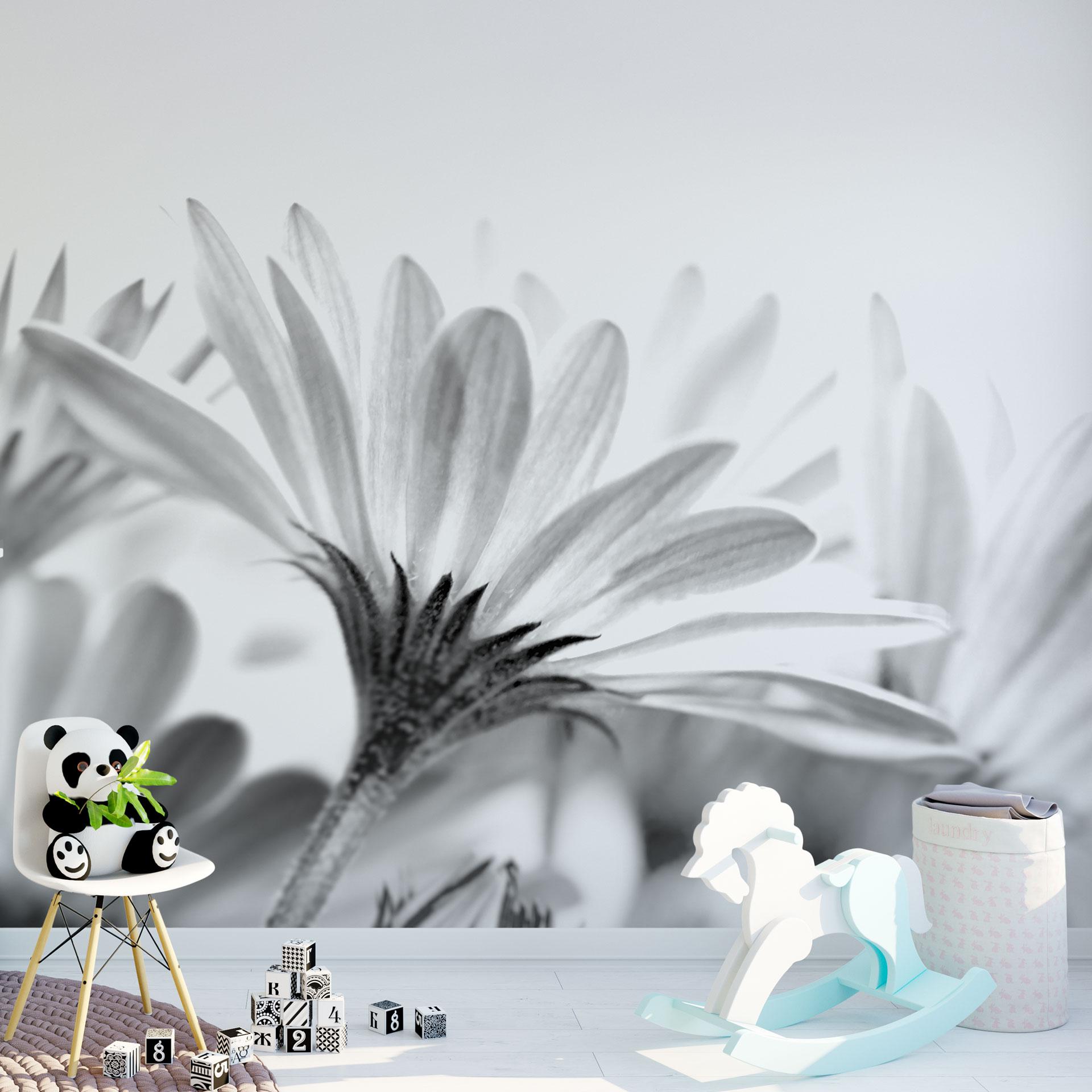 Fototapet Daisy i detaljer - 240x260 cm