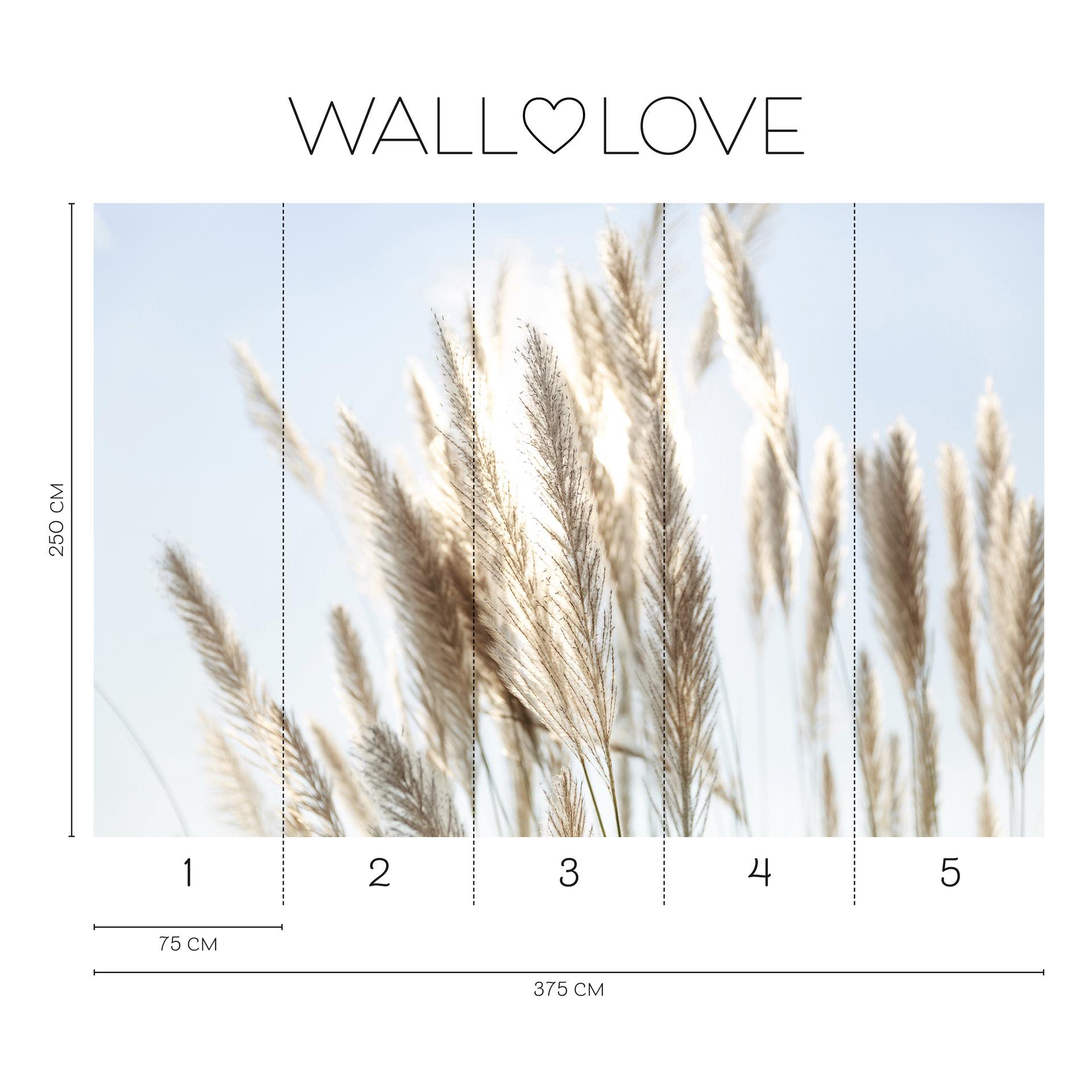 Pampas Grass Sky Beige Blue 3,75 x 2,50 m - Vliesbehang natuur boho stijl