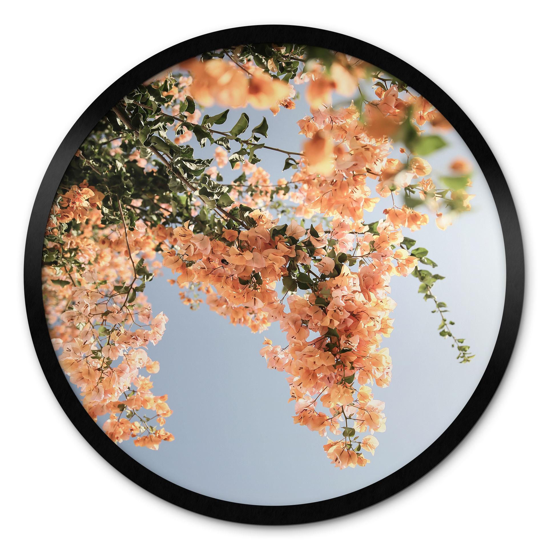 Plakat Ferskenblomster i Assos - Shot by Clint
