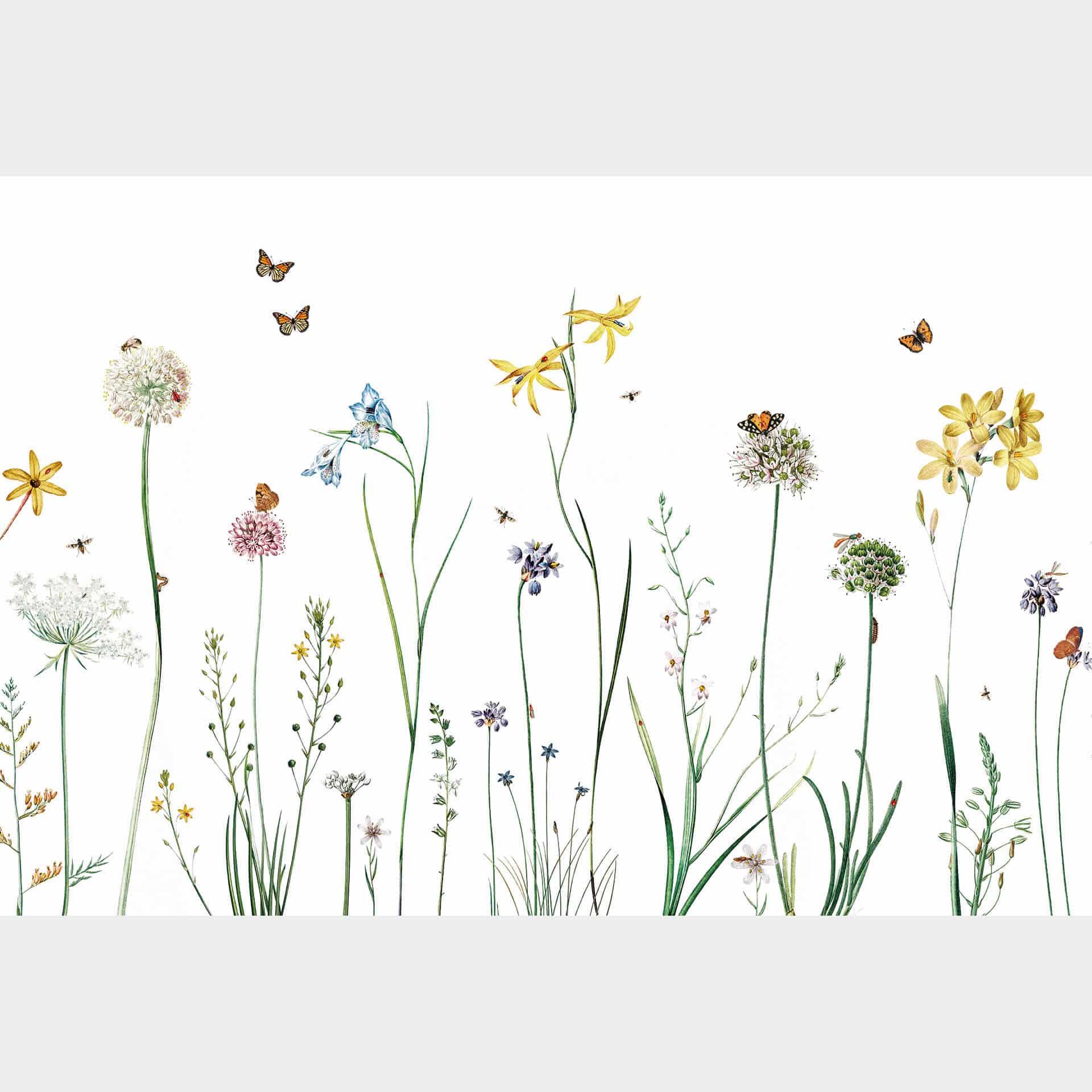 Fotobehang Sir Edward - Butterfly Meadow