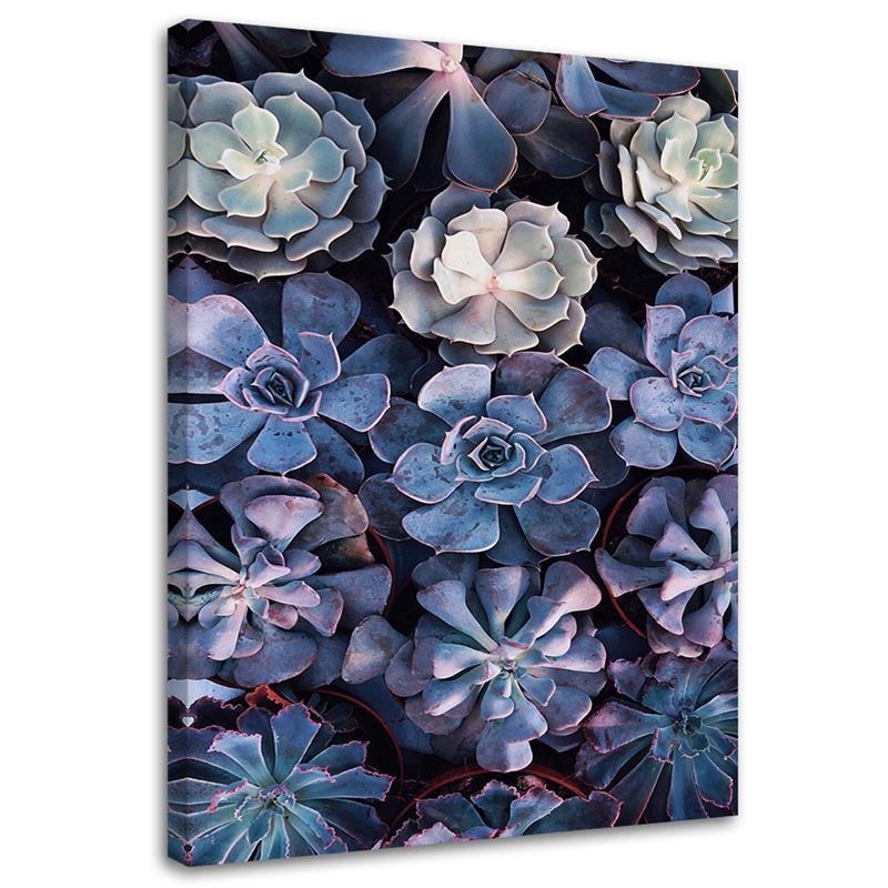 Canvasbillede, Shabby Chic blomster