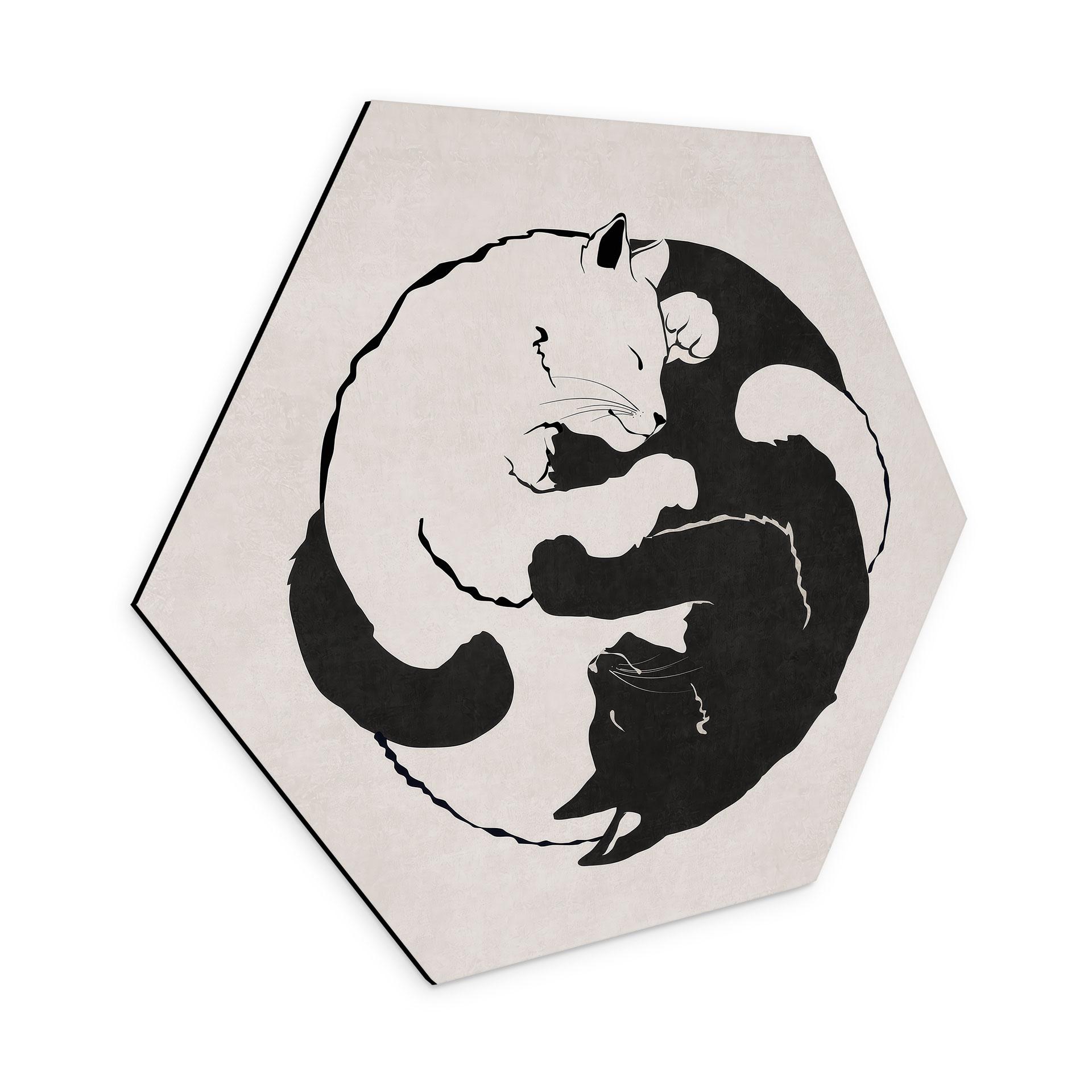 Hexagon Dibond Katte Ying & Yang - Tunaboylu
