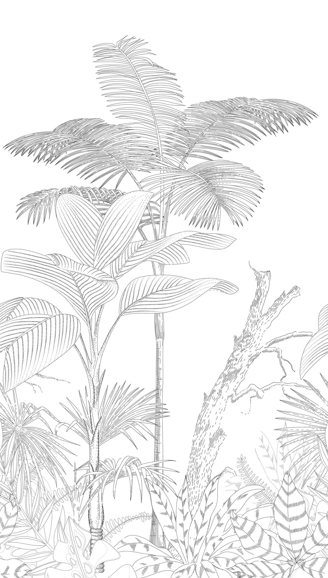 behang jungle zwart wit - vliesbehang botanisch Livingwalls - mat en glad