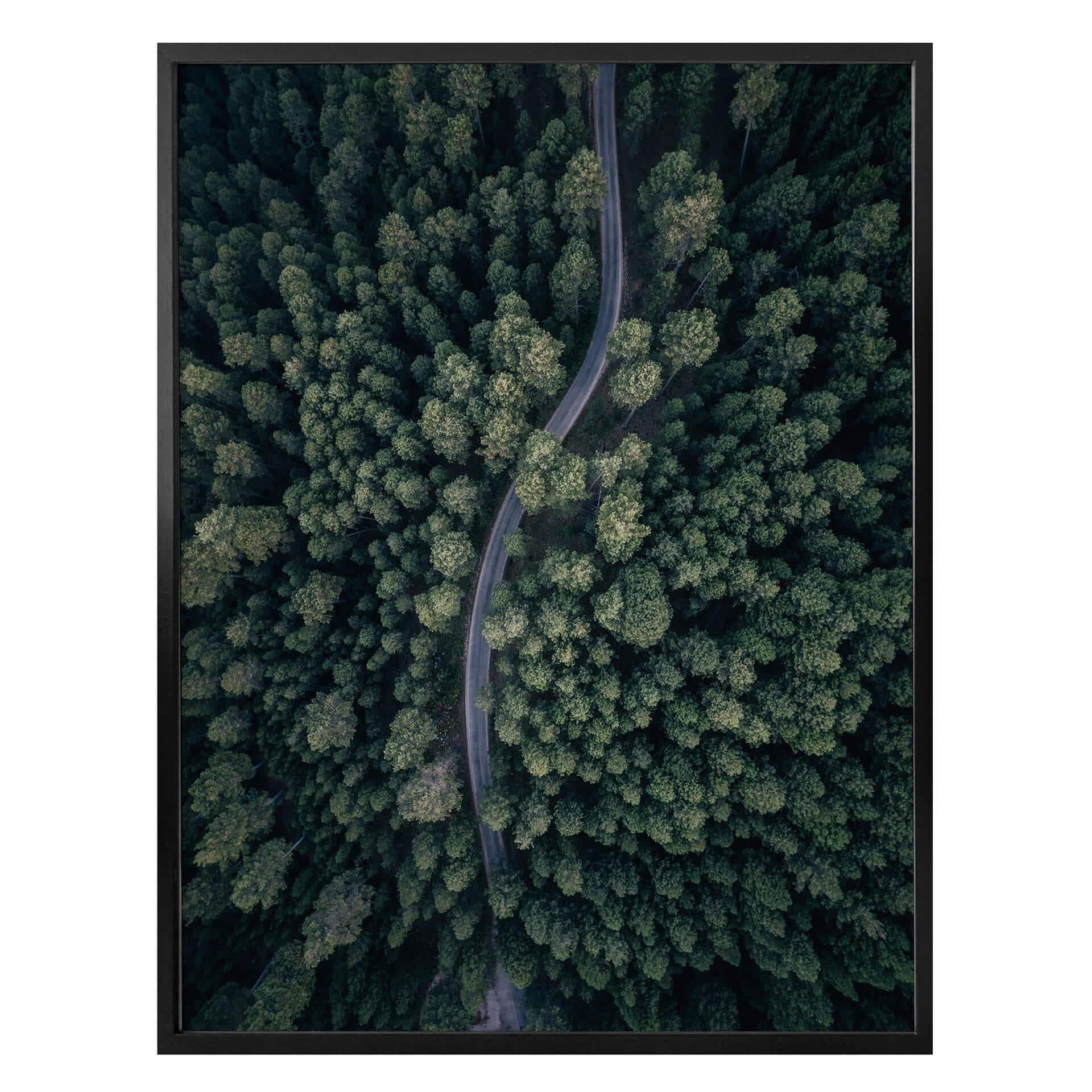 Póster López - La vista desde arriba: Carretera en el bosque
