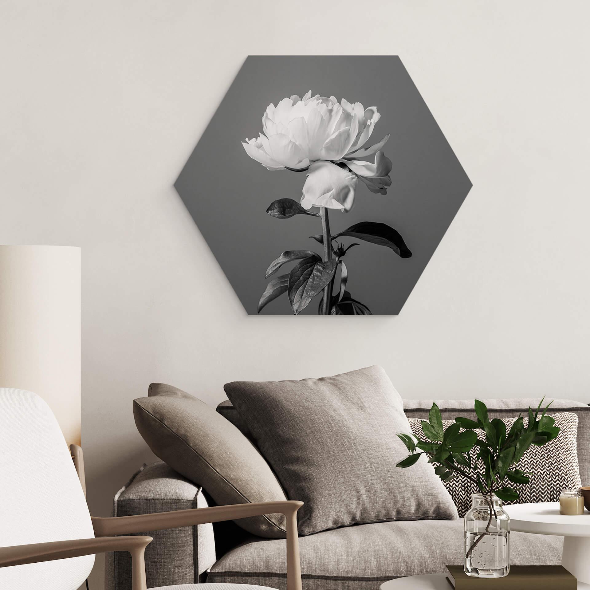 Hexagon Dibond 1X Studio - Zwart Witte Rozen