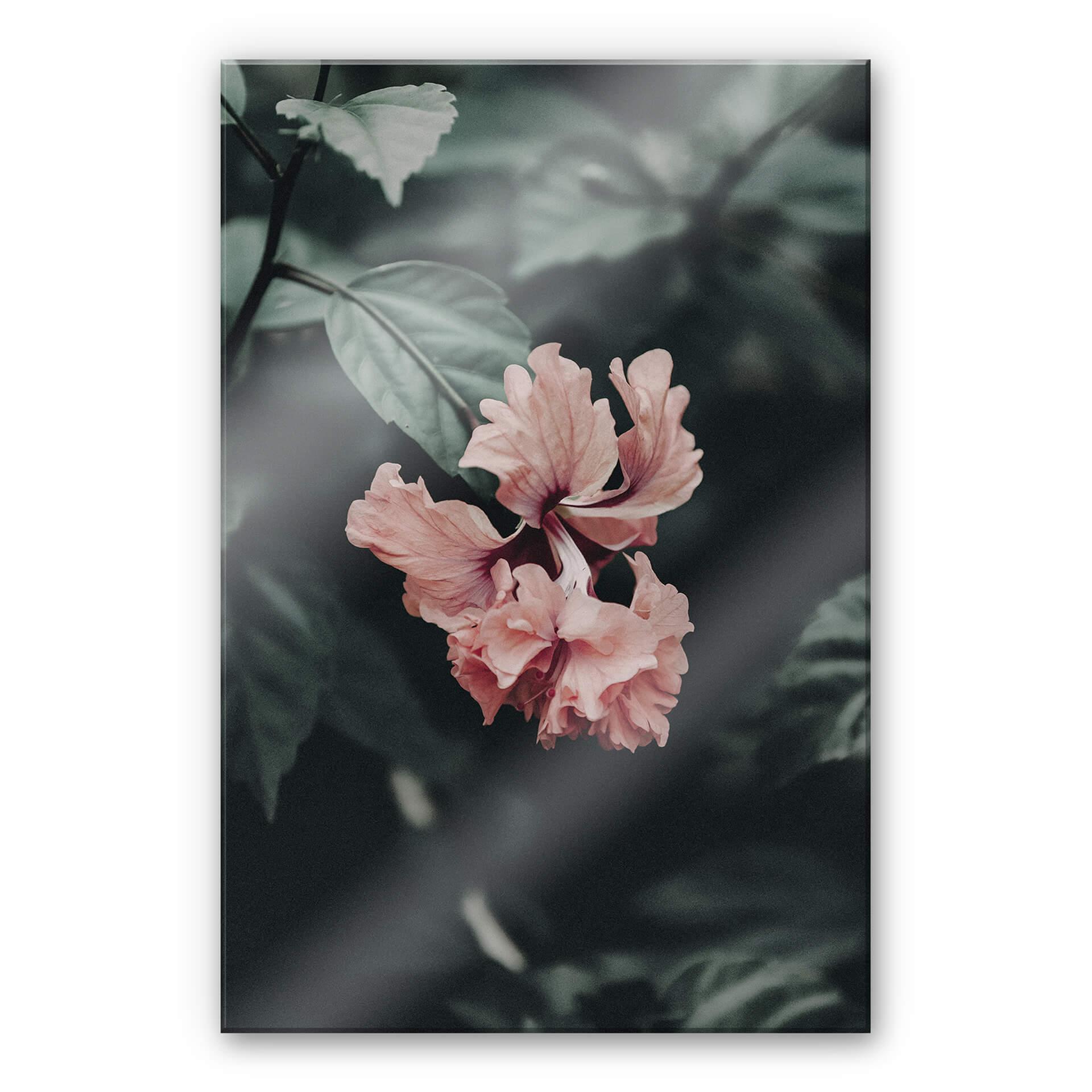 Akrylbillede Tropisk blomst