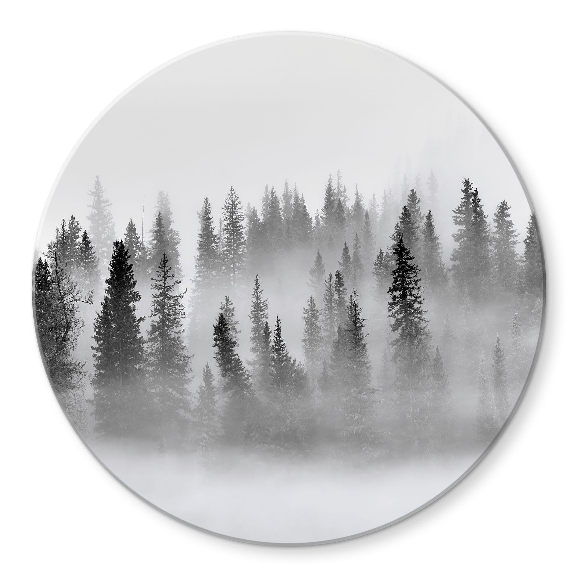 Glasbillede - Xu - Foggy Forest