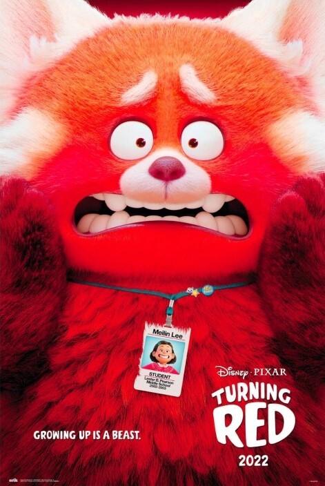 Poster, film poster Turning Red 61x91,5 cm