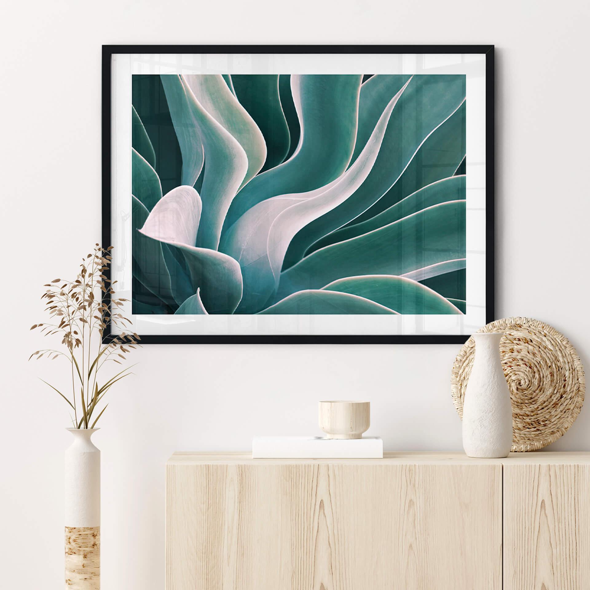 Póster Wechsler - Planta de agave a la luz de la mañana