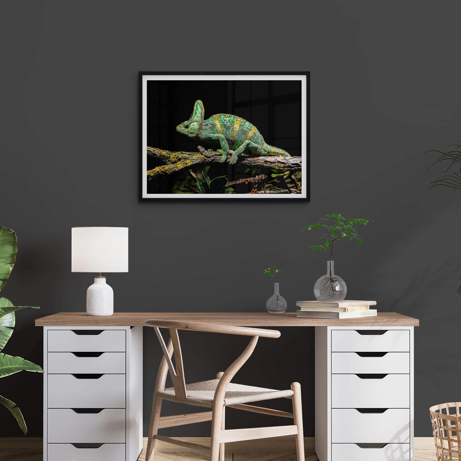 Plakat Brown - Kameleon