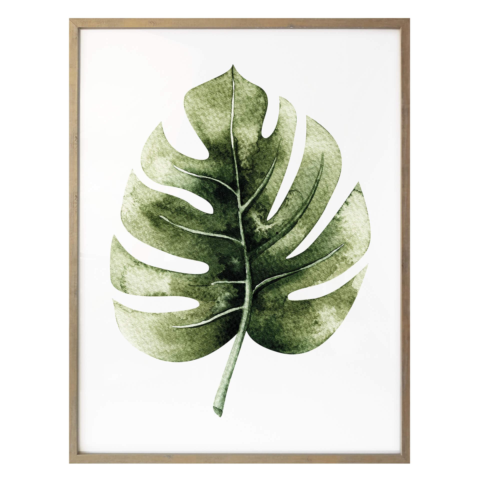 Plakat - Kvilis - Monstera leaf