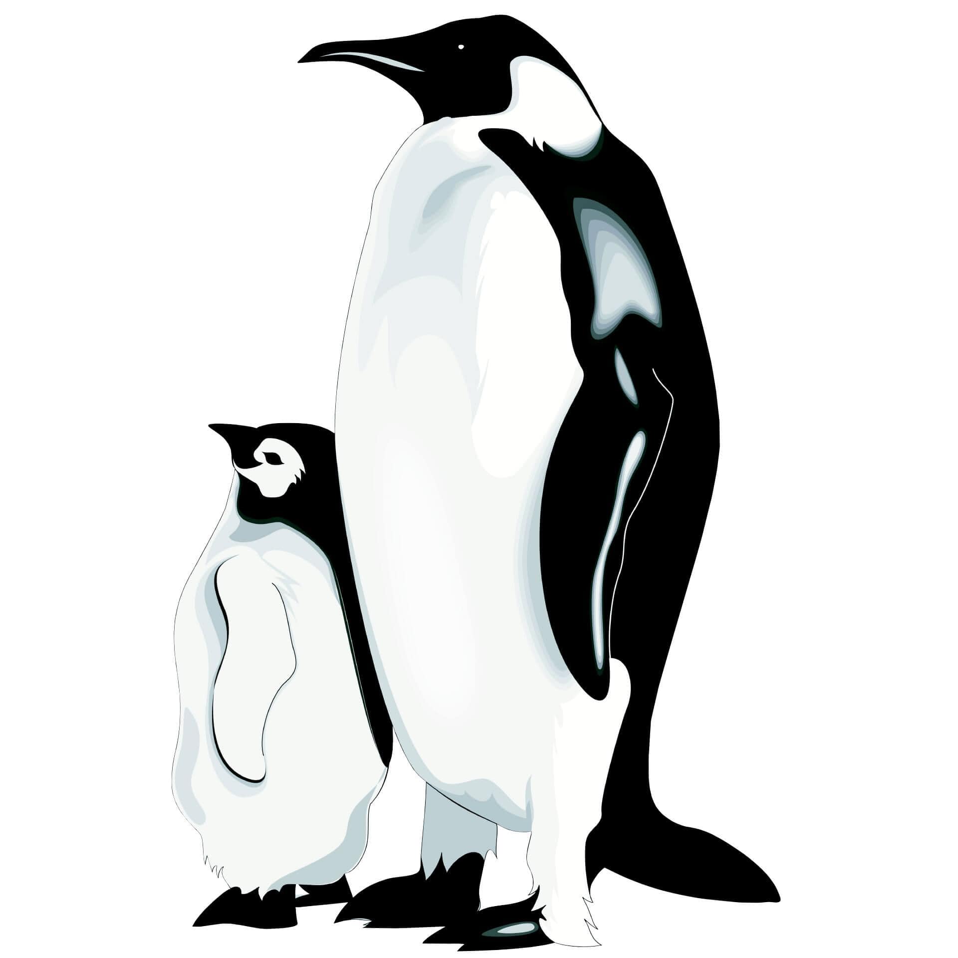 Wandtattoo Pinguine