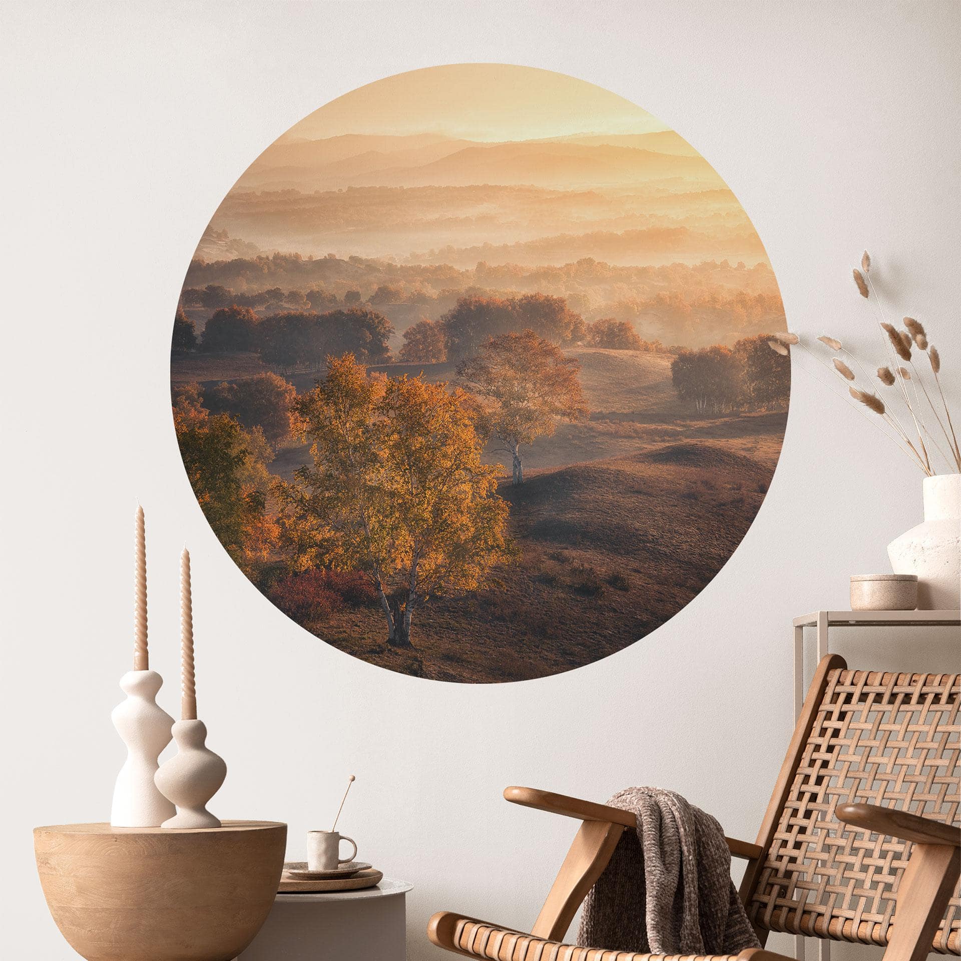 Wallsticker Birketræer i den gyldne morgendug - Cui - Rund