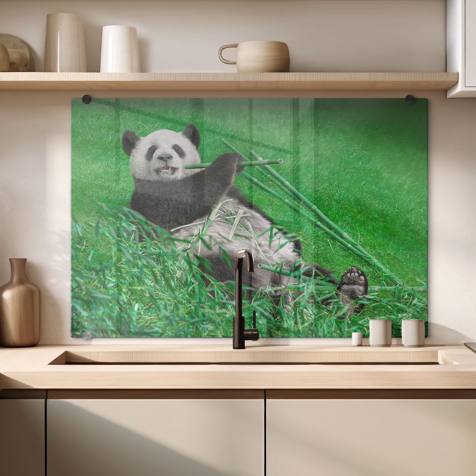 Stænkplade - Ben Heine - Lykkelig Panda