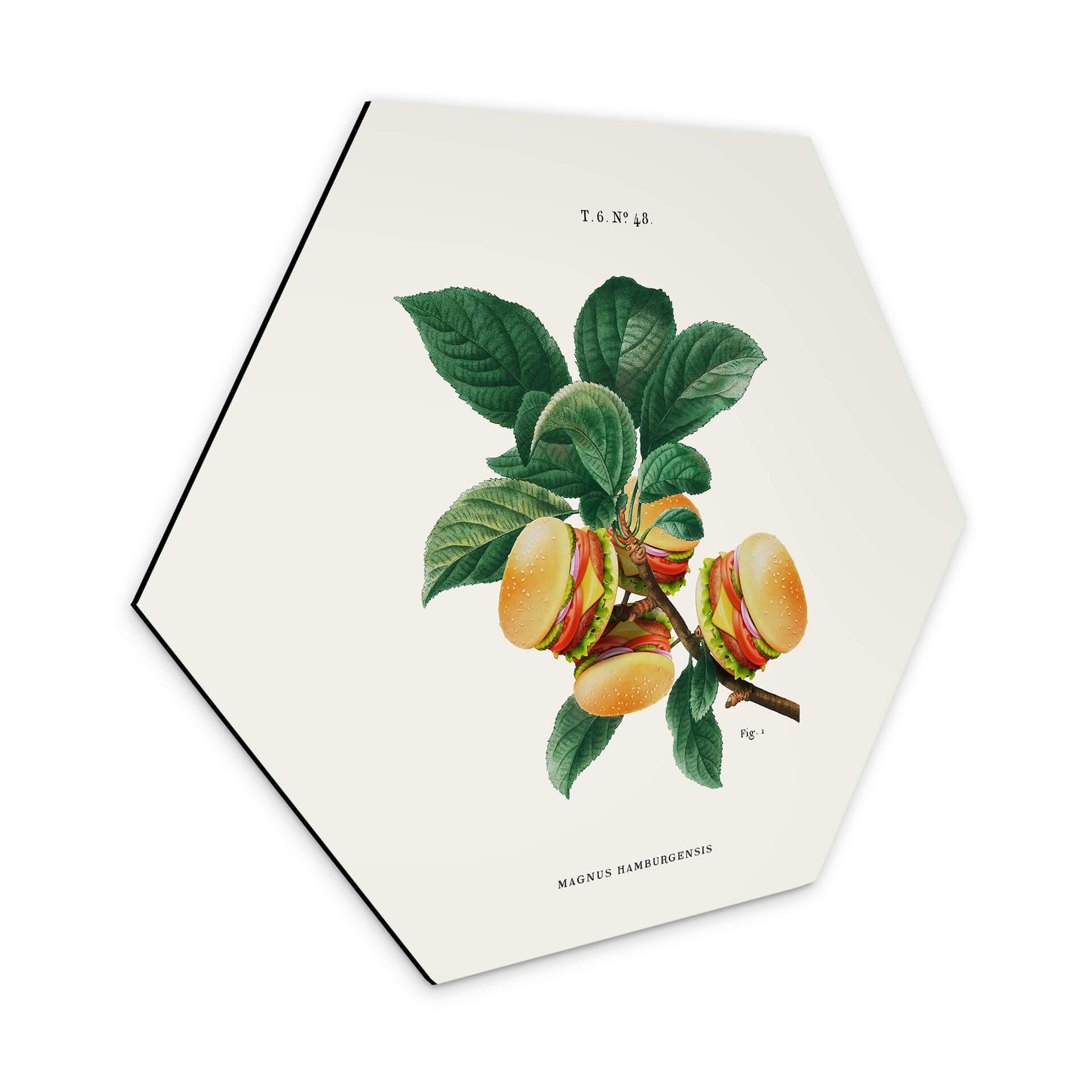 Hexagone - alu-Dibond Loose - Plante à hamburger
