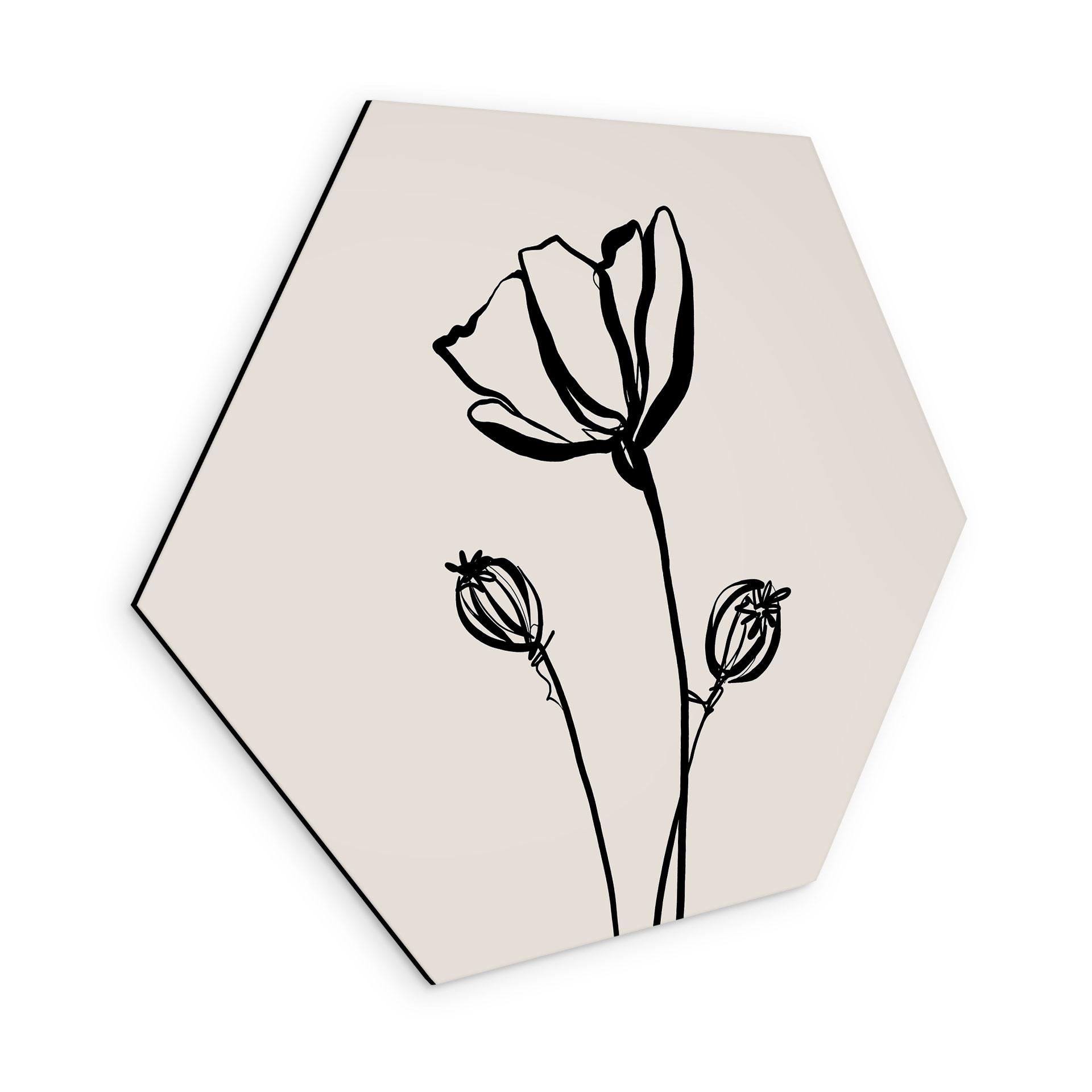 Sekskantet Billede Line Art Poppy - Cats & Dotz - aluminium dibond
