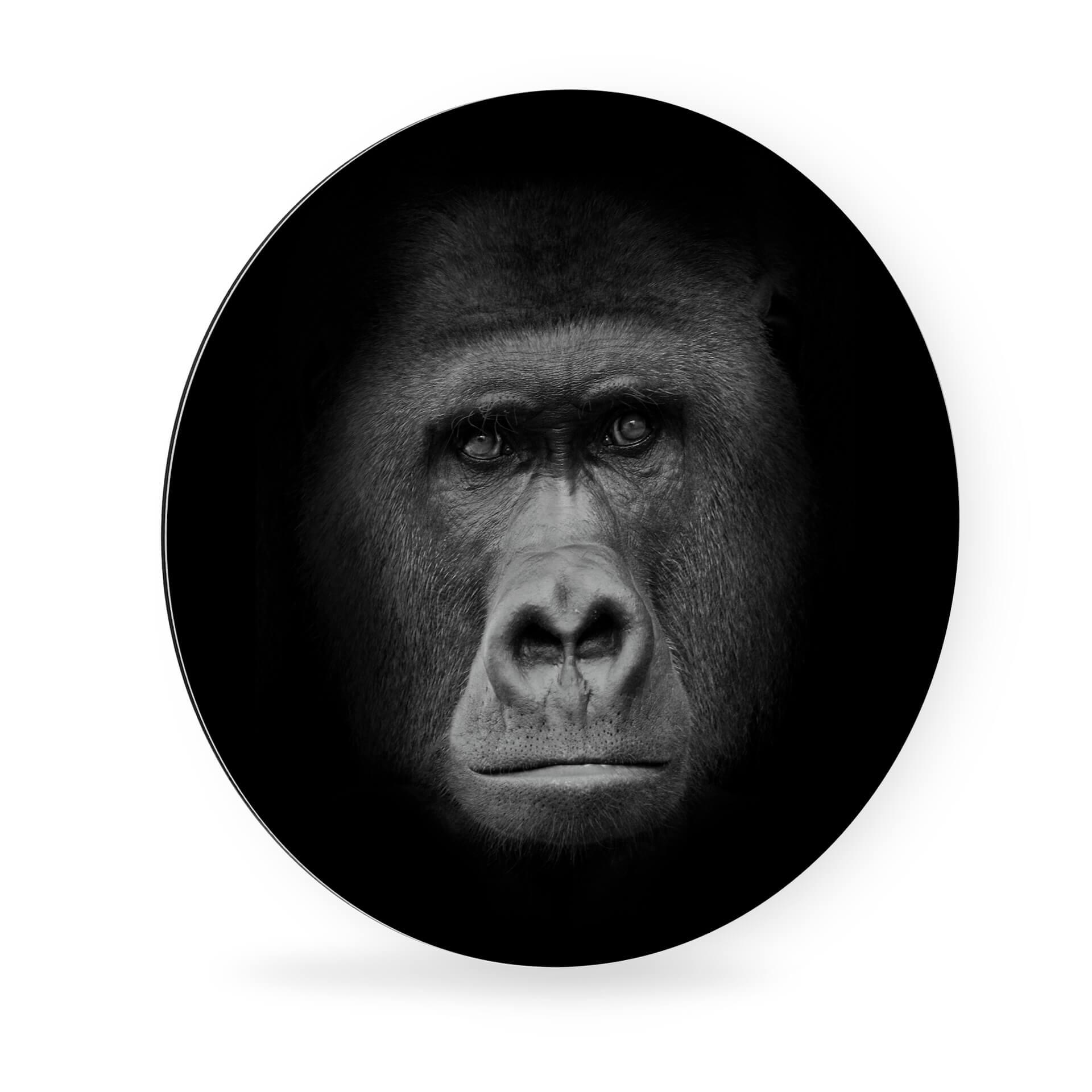 Alu-Dibond - Gorilla - tondo
