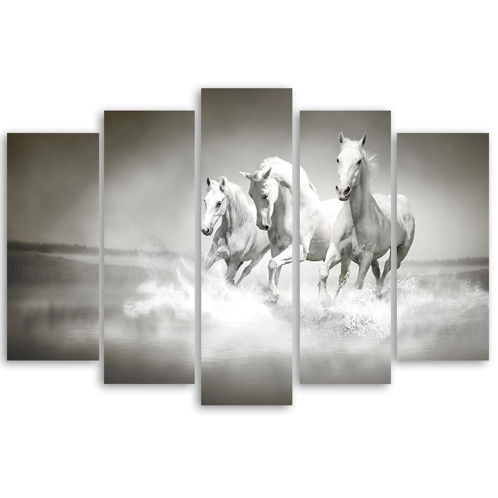 5 stykke lærredsprint, hvide heste galop