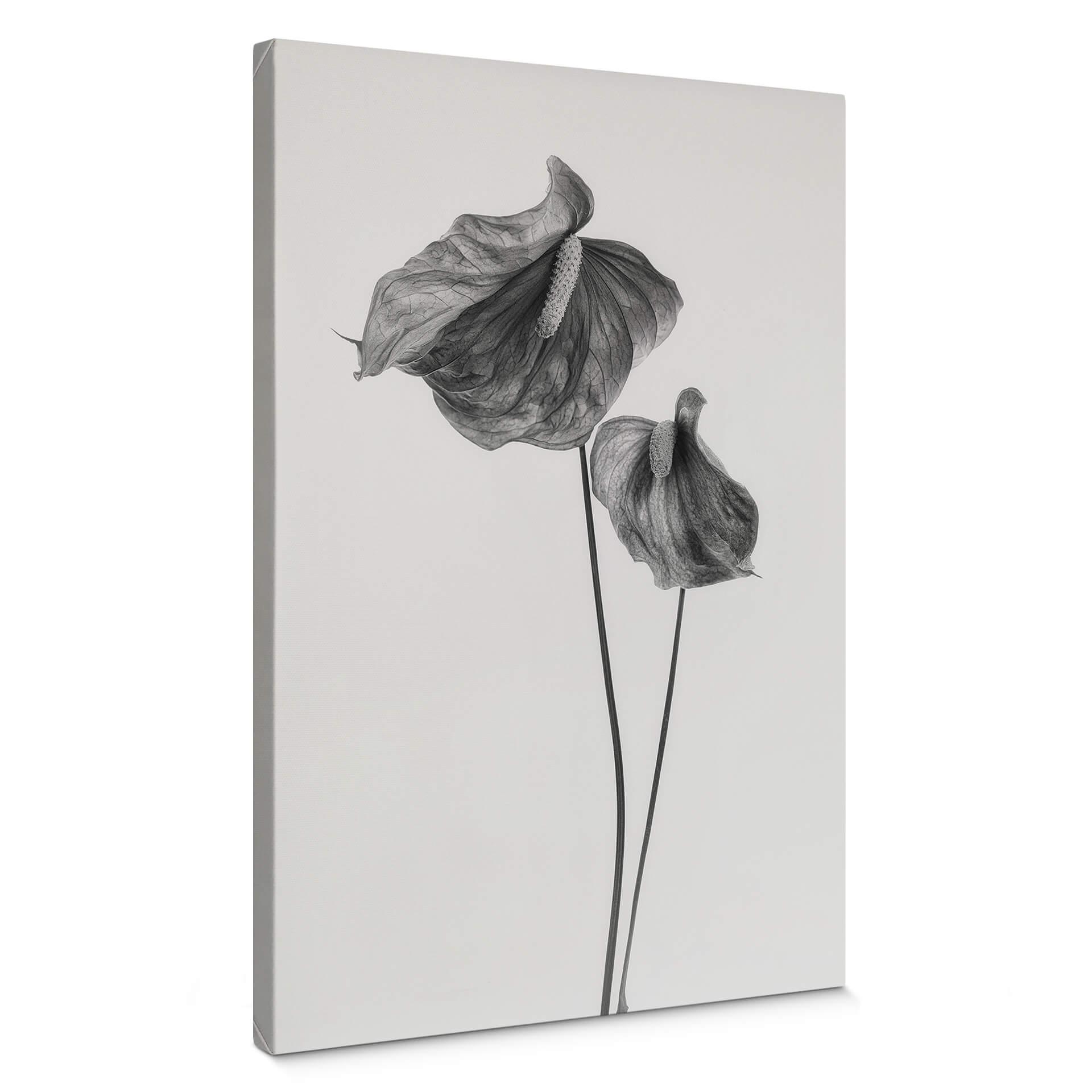 Canvastavla Grønkjær - Anthurium svart och vitt