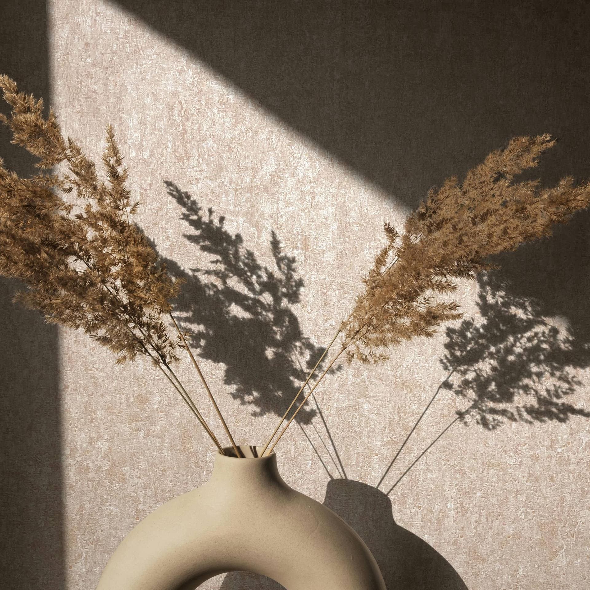 Non-woven tapet med en mat, lys struktur i beige betonlook