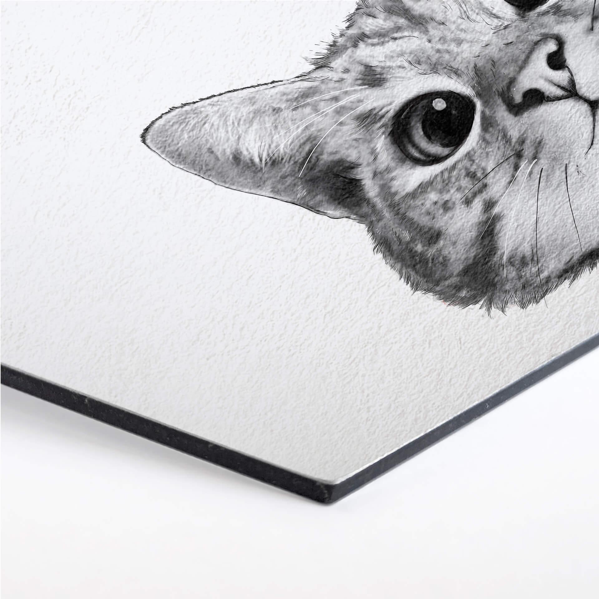 Hexagon - Alu-Dibond Graves - Sneaky Cat