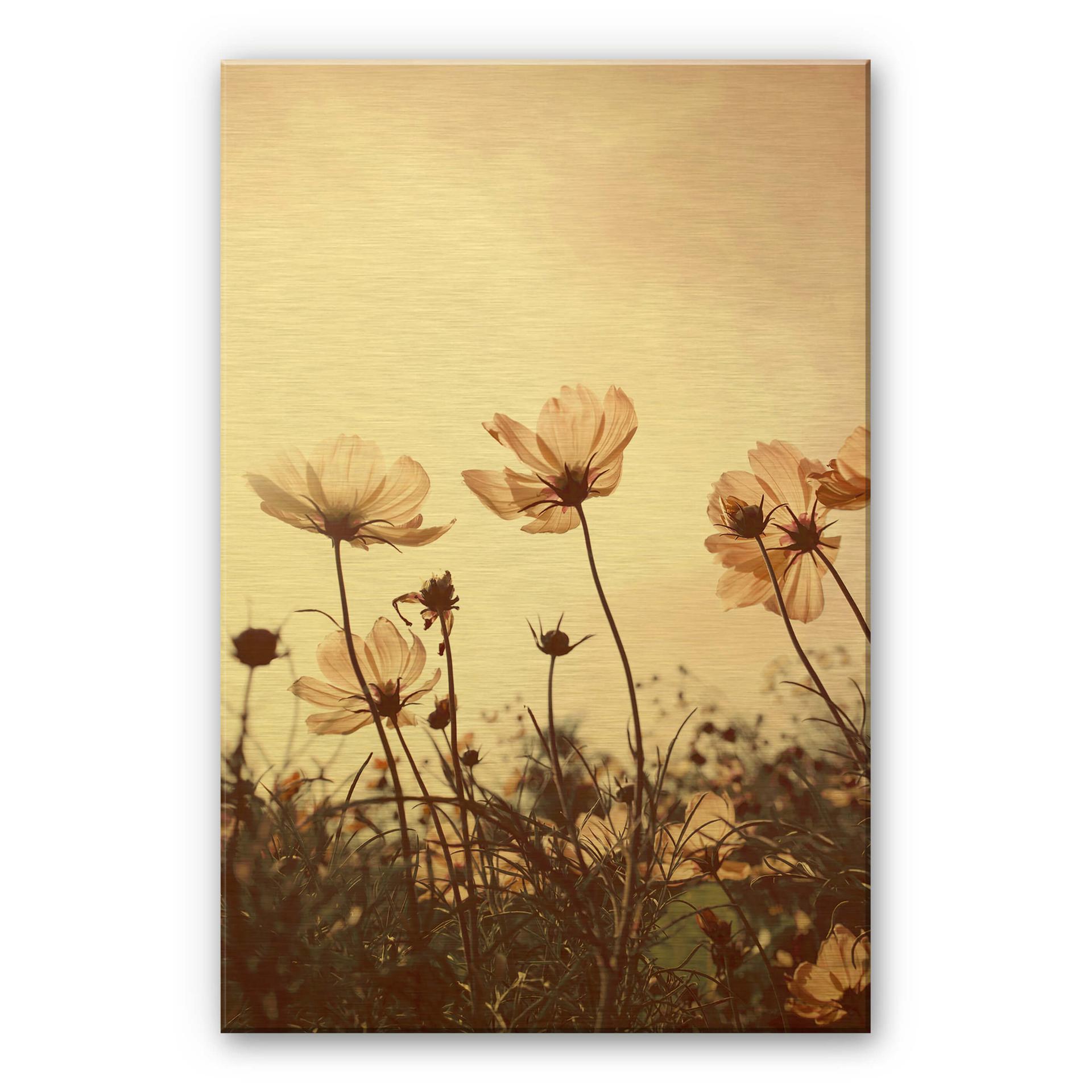 Alu-dibond goud - Wilde Bloemen