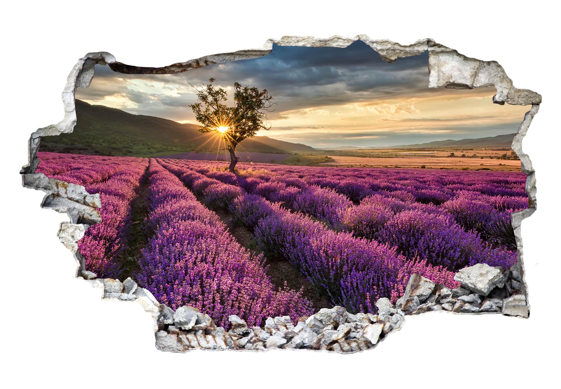 3D Wandtattoo Lavendelblüte in der Provence