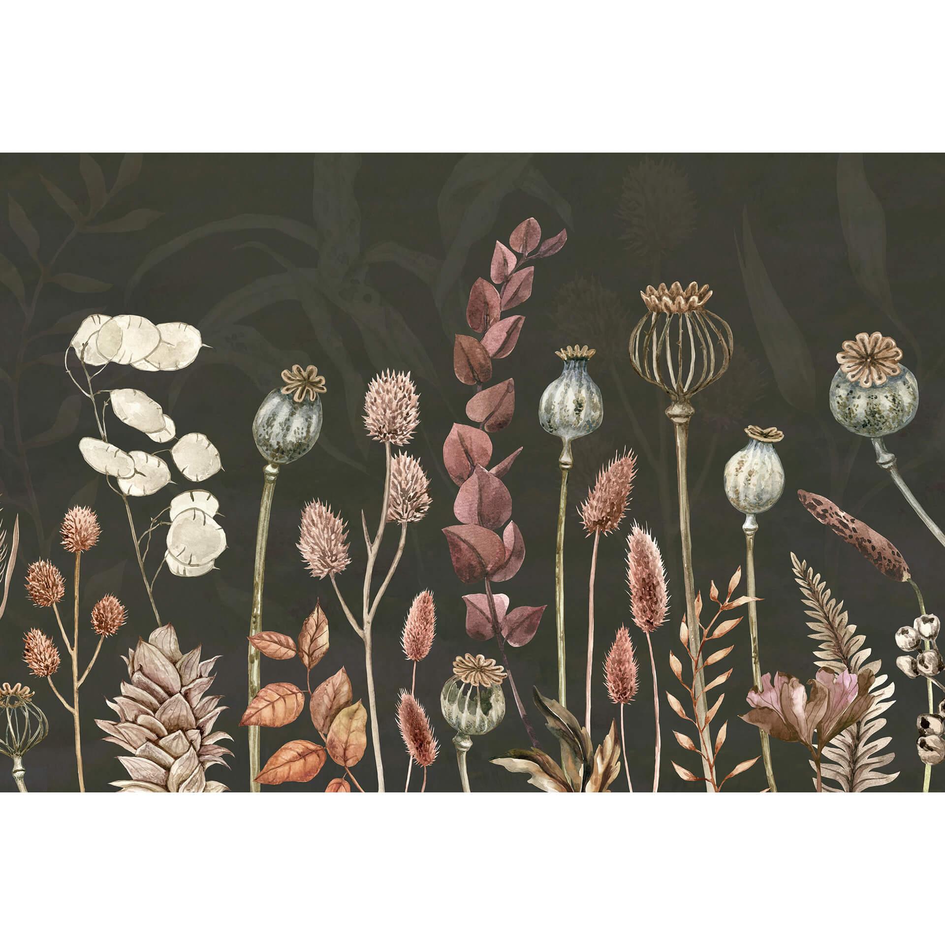 Fotobehang Sir Edward - Dried Olive Flowers
