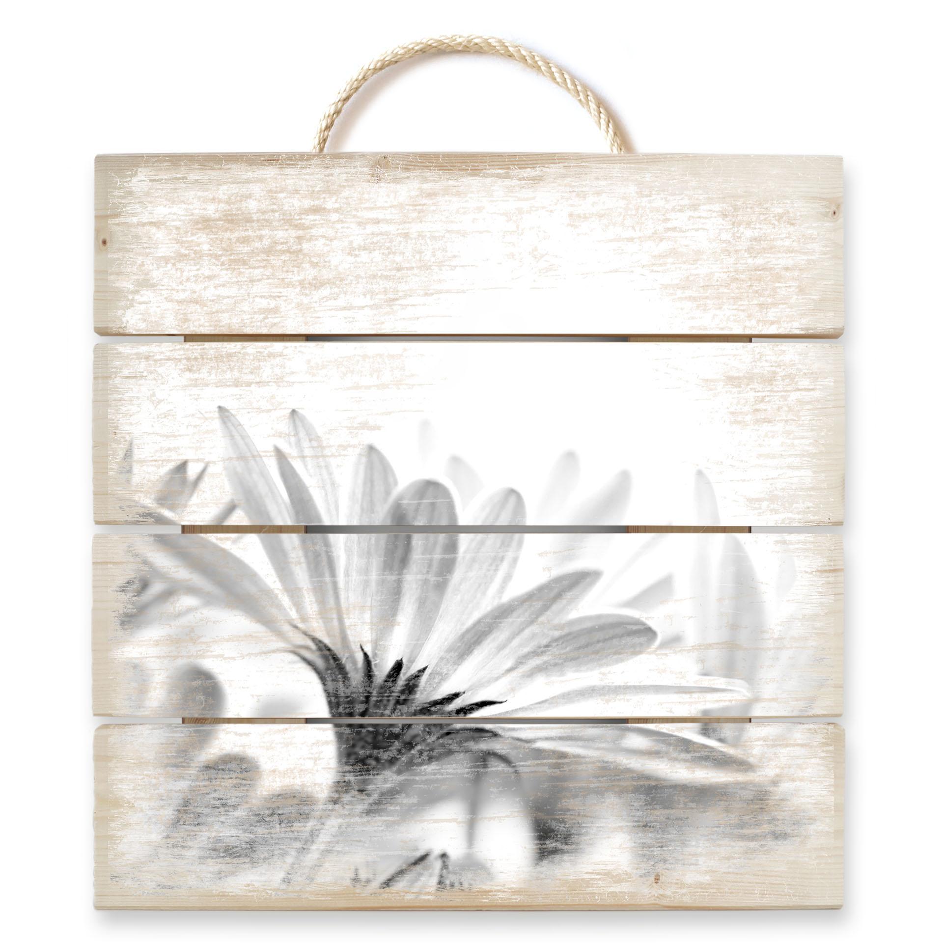 Cuadro de madera margarita en detalle - 40x41,5 cm