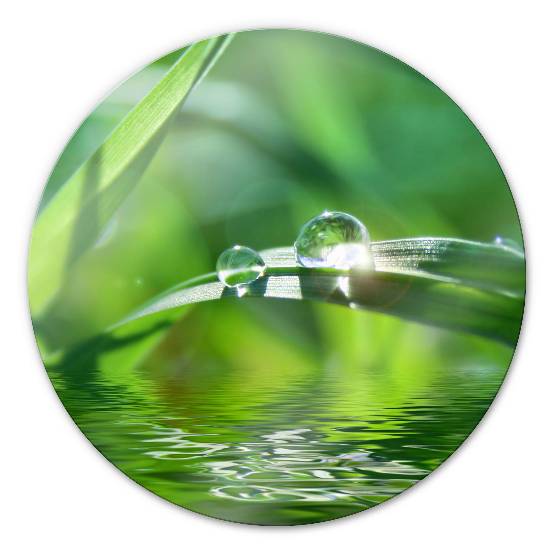 Tableau en verre - Nature 6 - rond