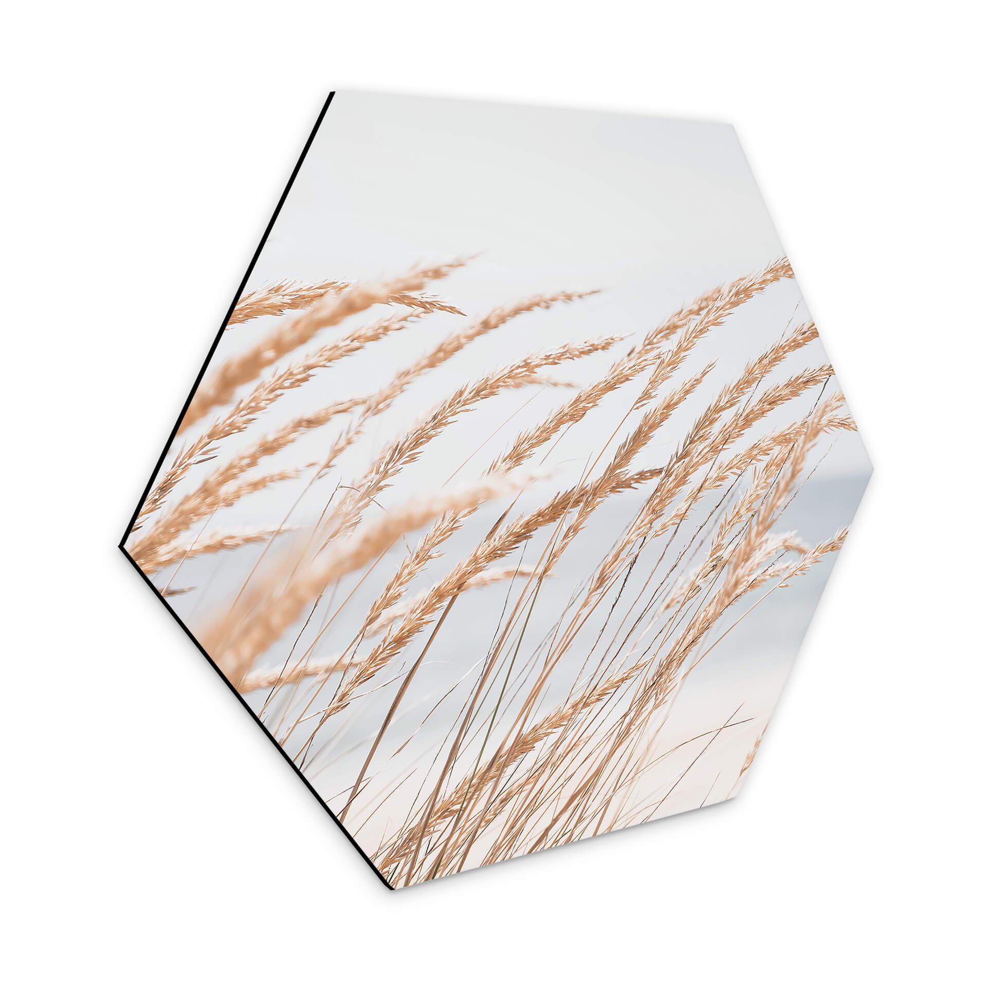 Hexagon Dibond - in de Duinen