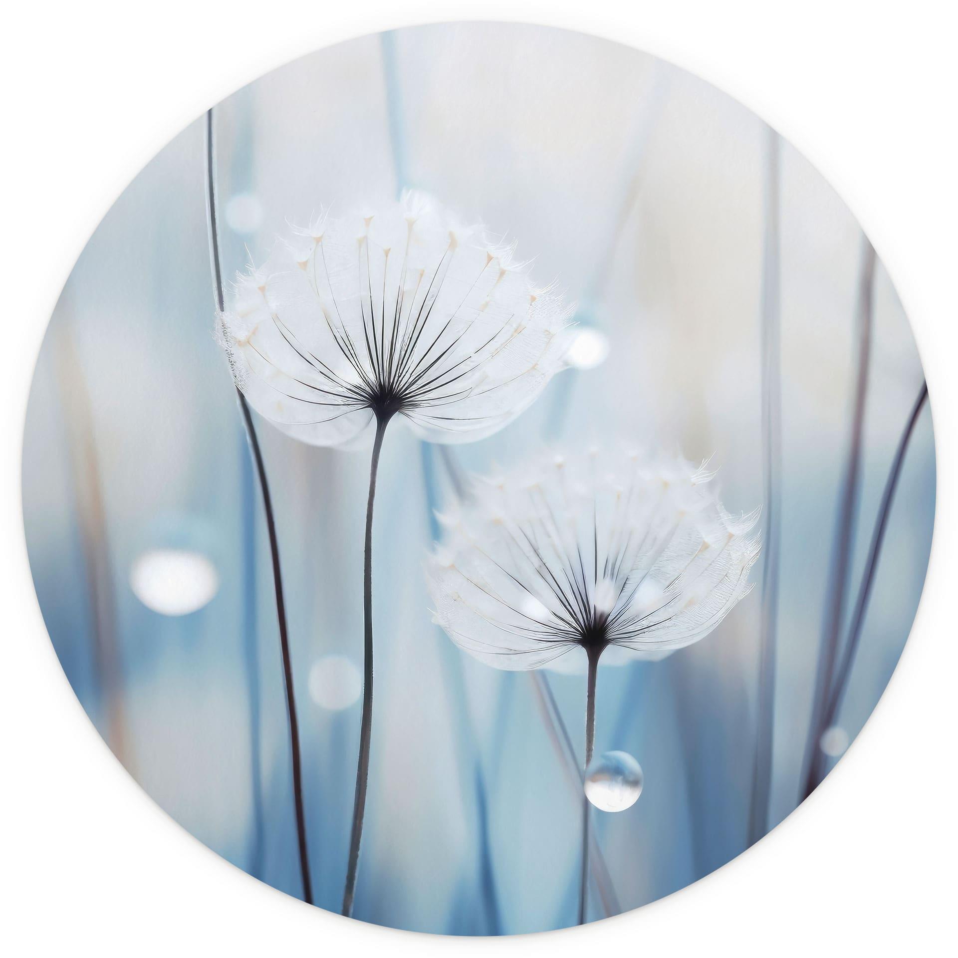 Dauwparels op paardenbloemen - Treechild - Rond - Zelfklevend/niet-geweven