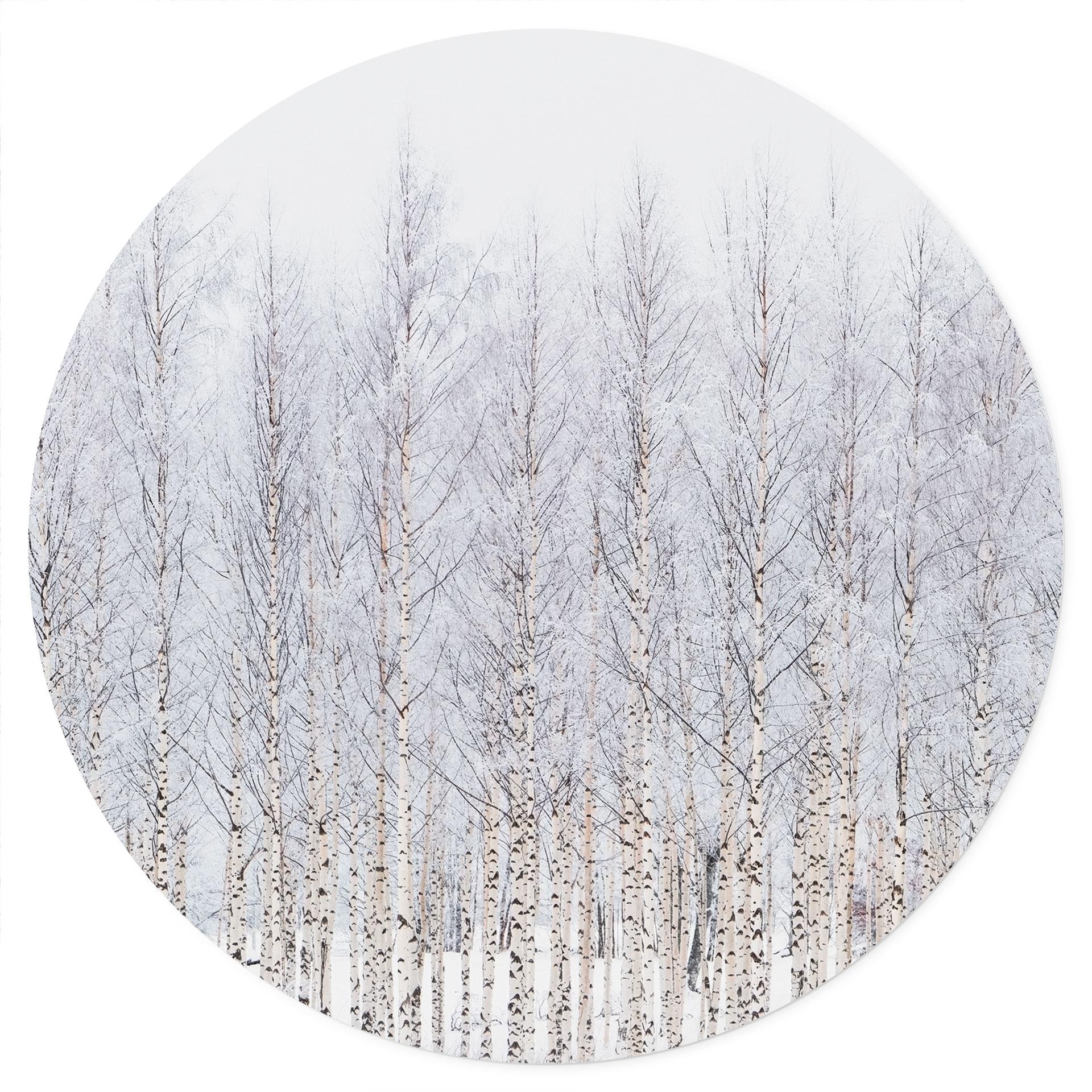 Muursticker Berkenbos in de winter - EMELIEmaria - Rond