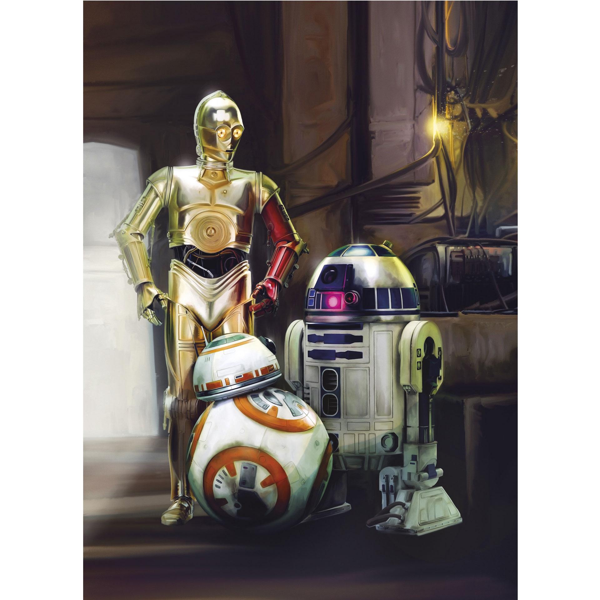 Fotobehang Papierbehang Star Wars Three Droids