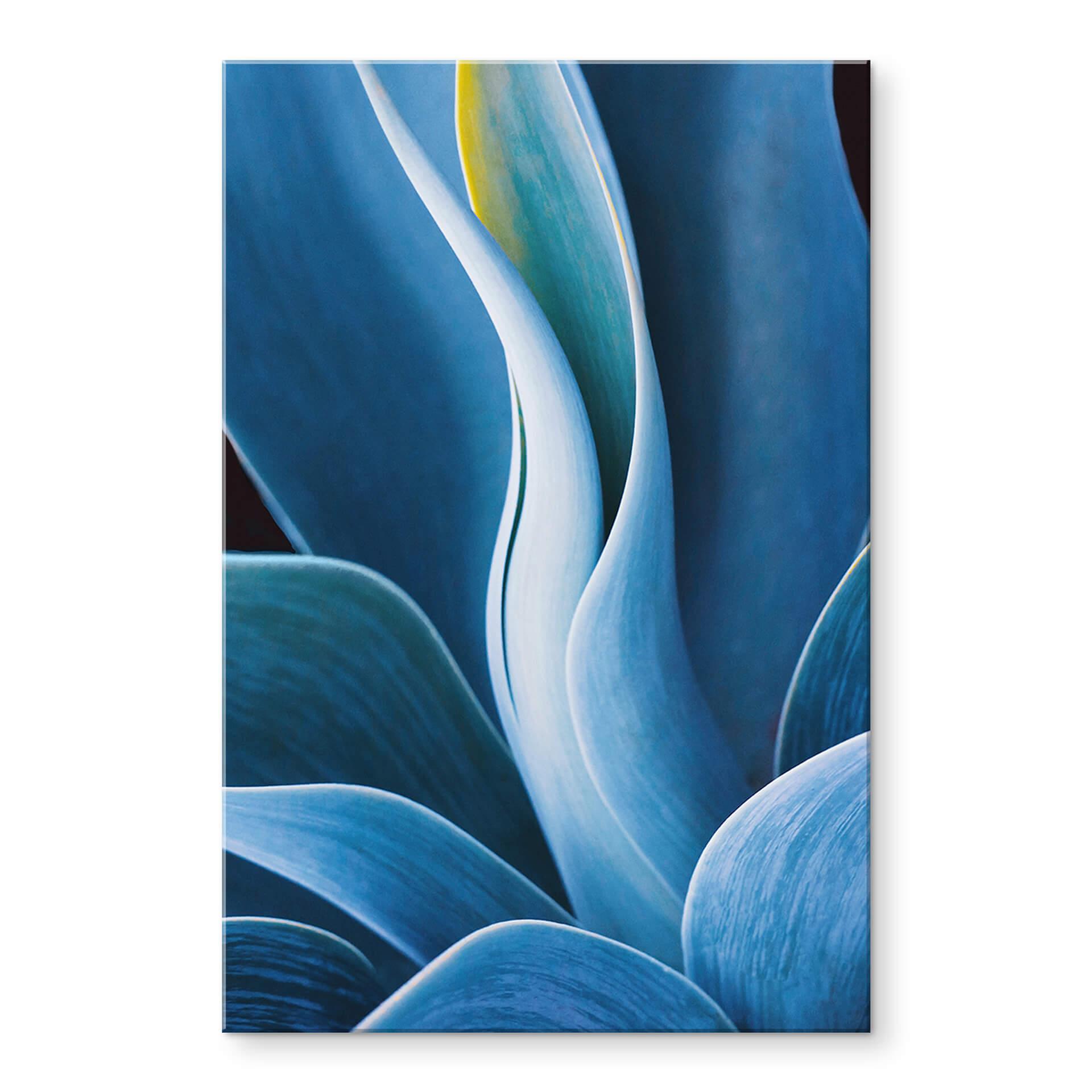 Akrylbillede Wechsler - Planter Stilleben Agave