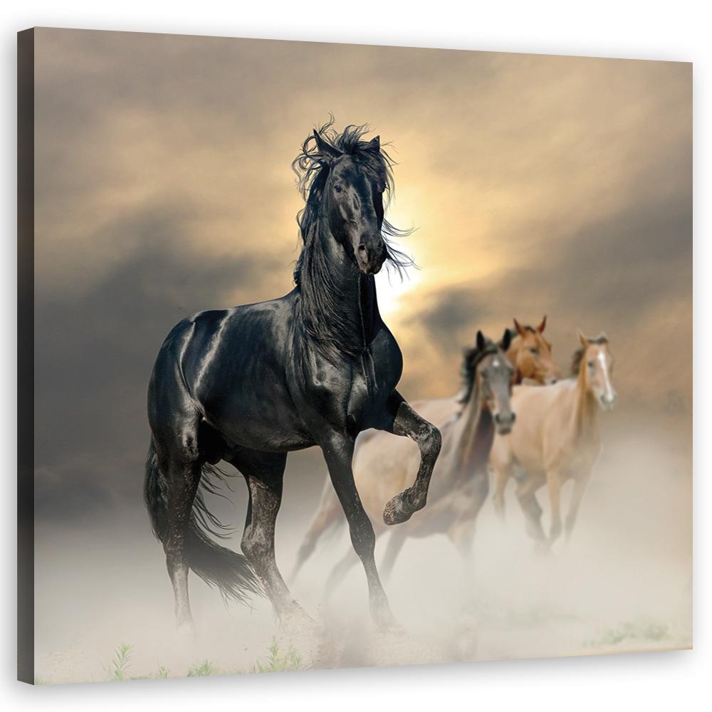 Canvasbillede, Flok af heste