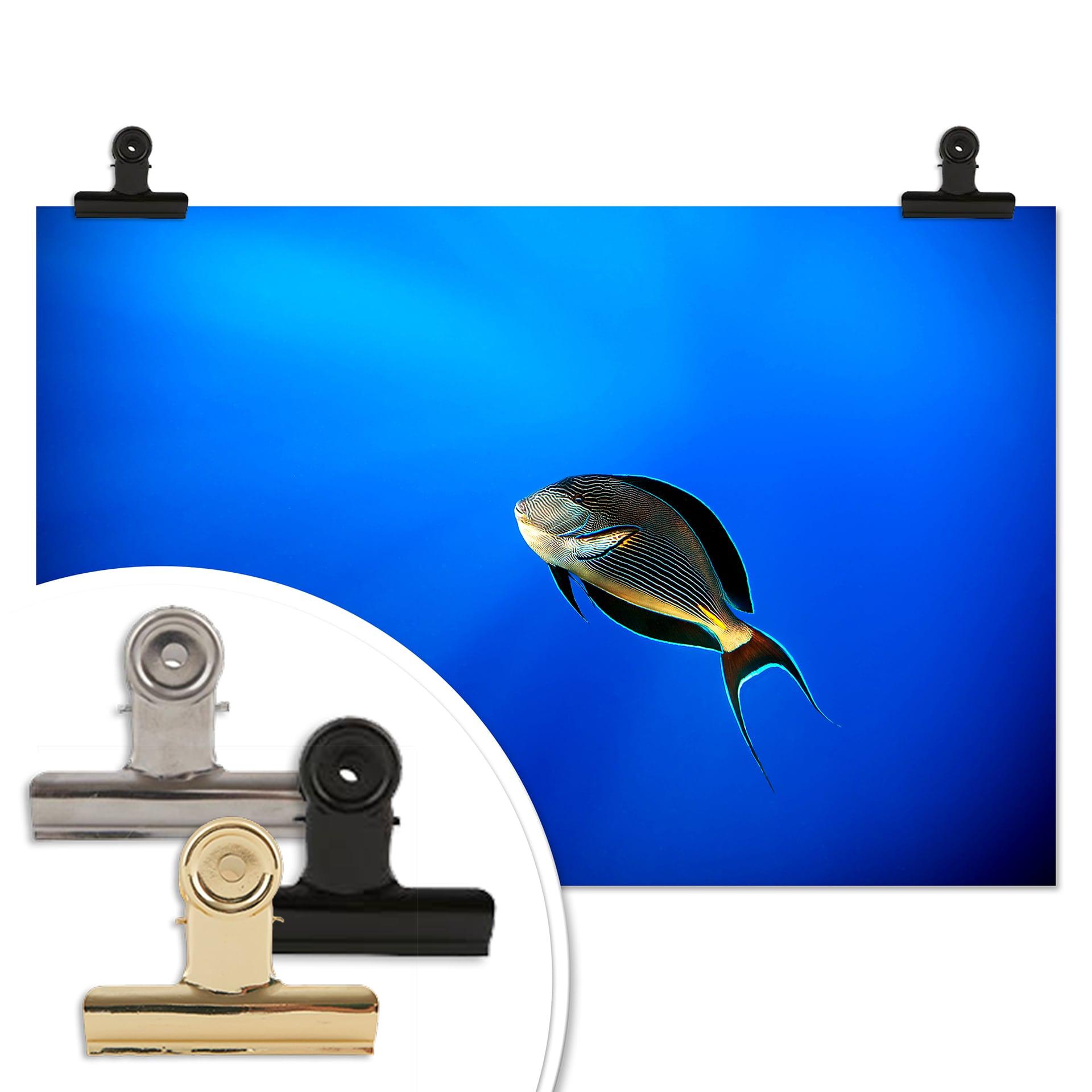 Poster Catta - Oceano profondo