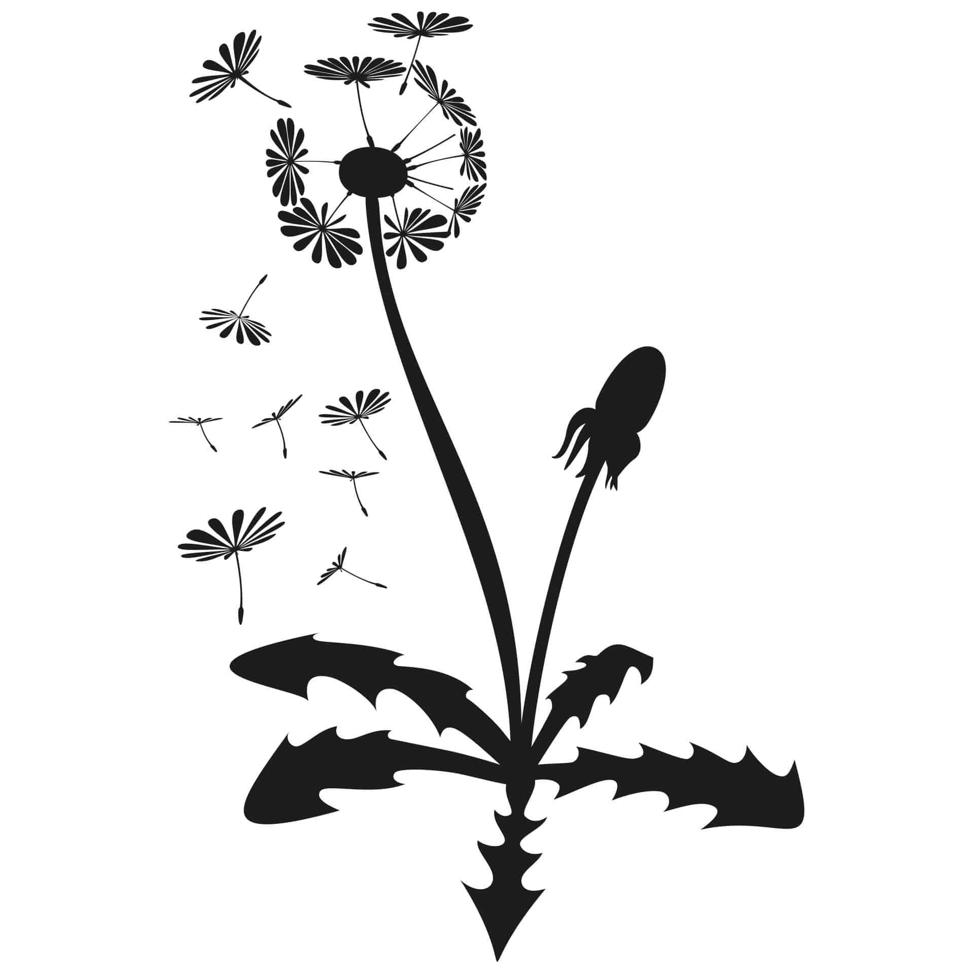 Muursticker Paardenbloem 2