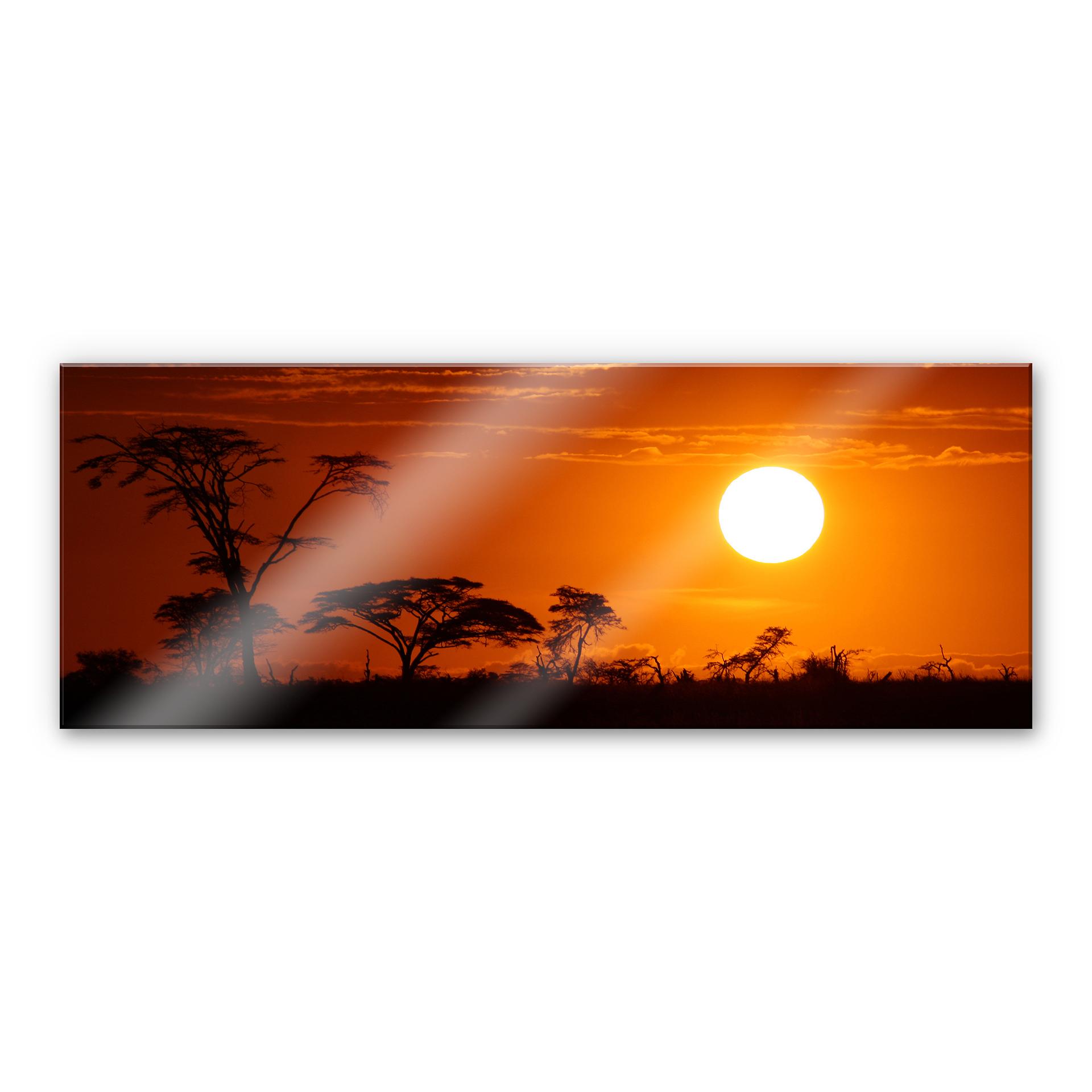 Akrylbillede Afrikansk steppe - Panorama