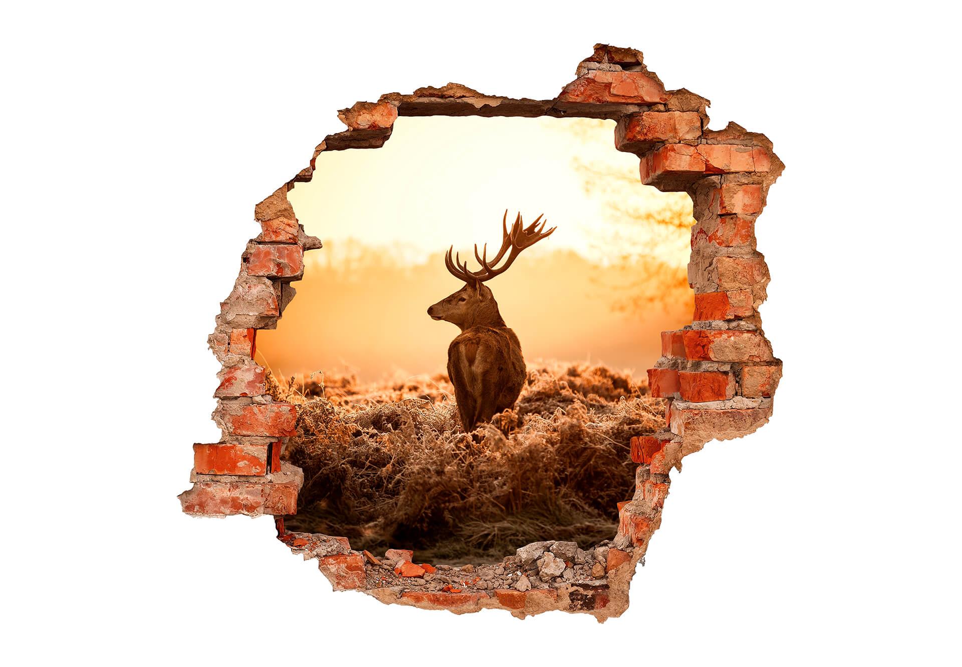 3D Muursticker Majestueus Hert