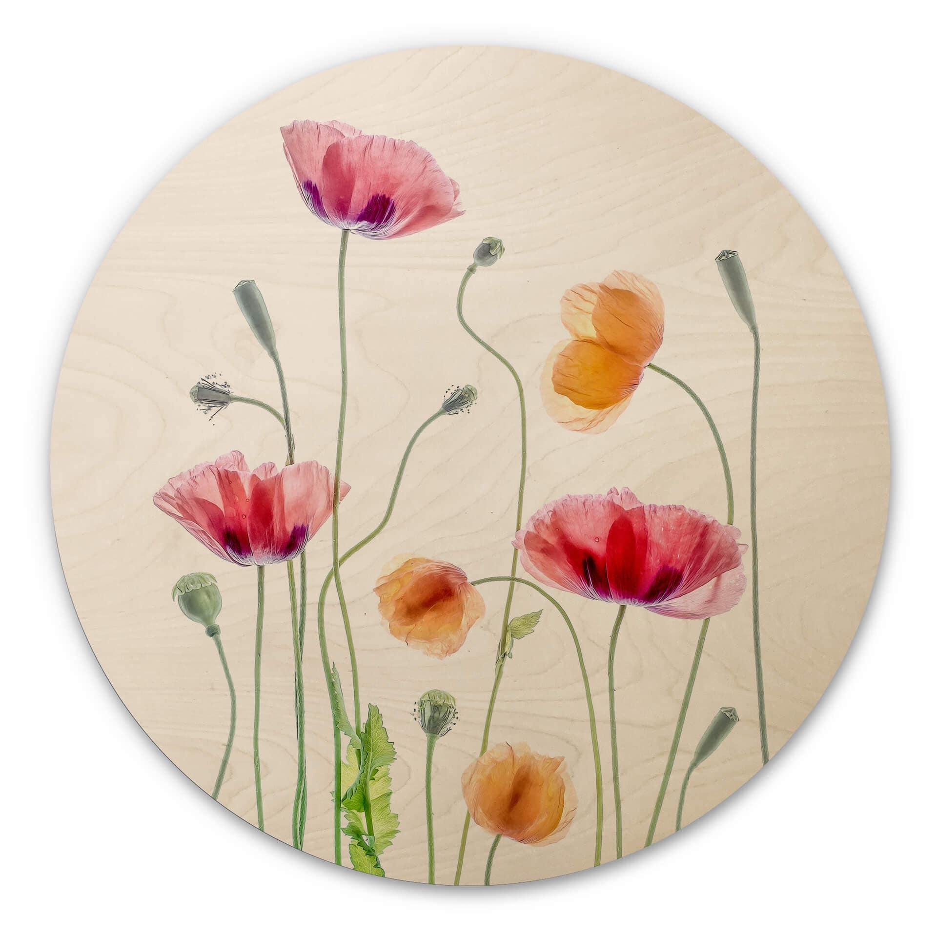 Væg cirkel træ Disher - Colourful Poppies