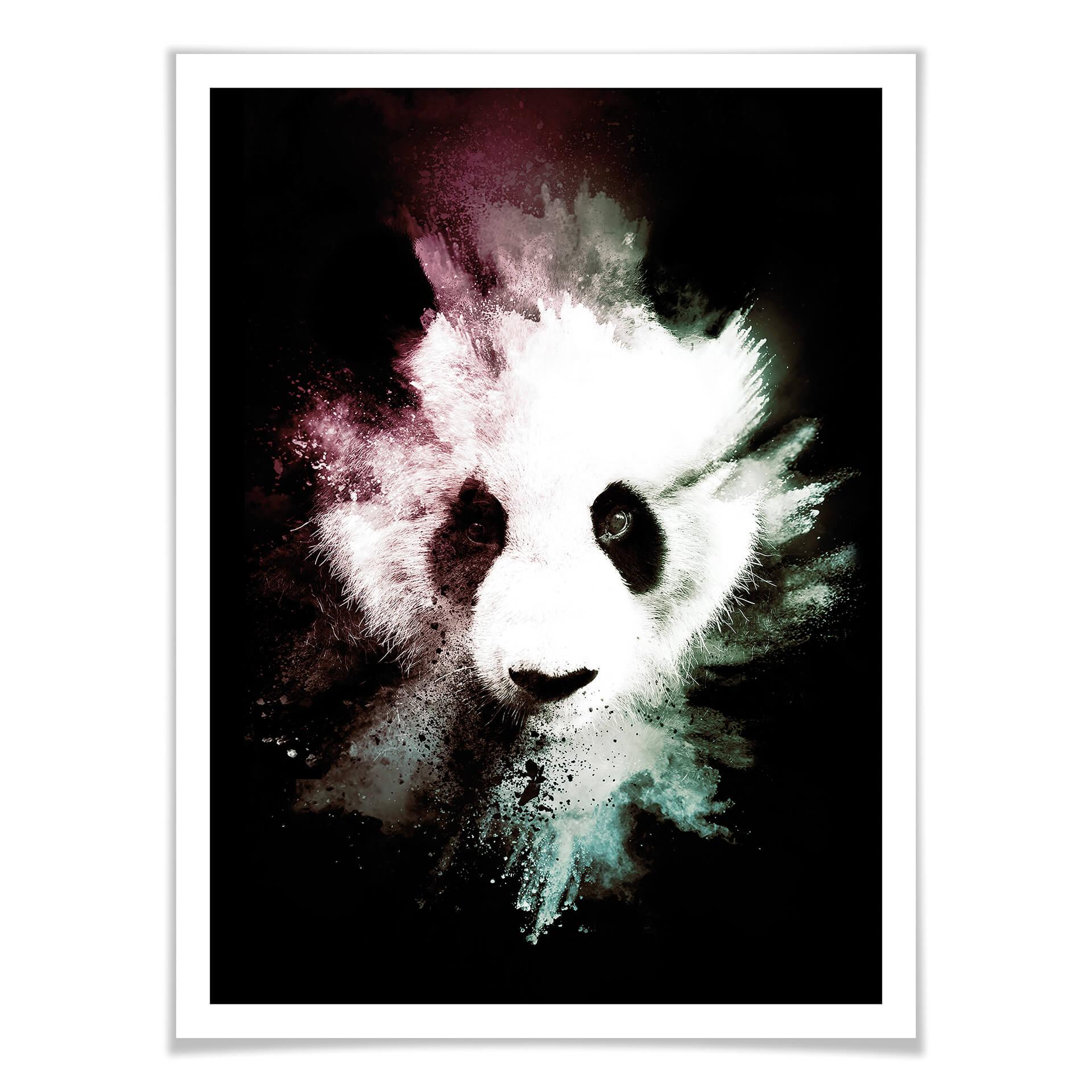 Póster Hugonnard - Explosión salvaje: Panda