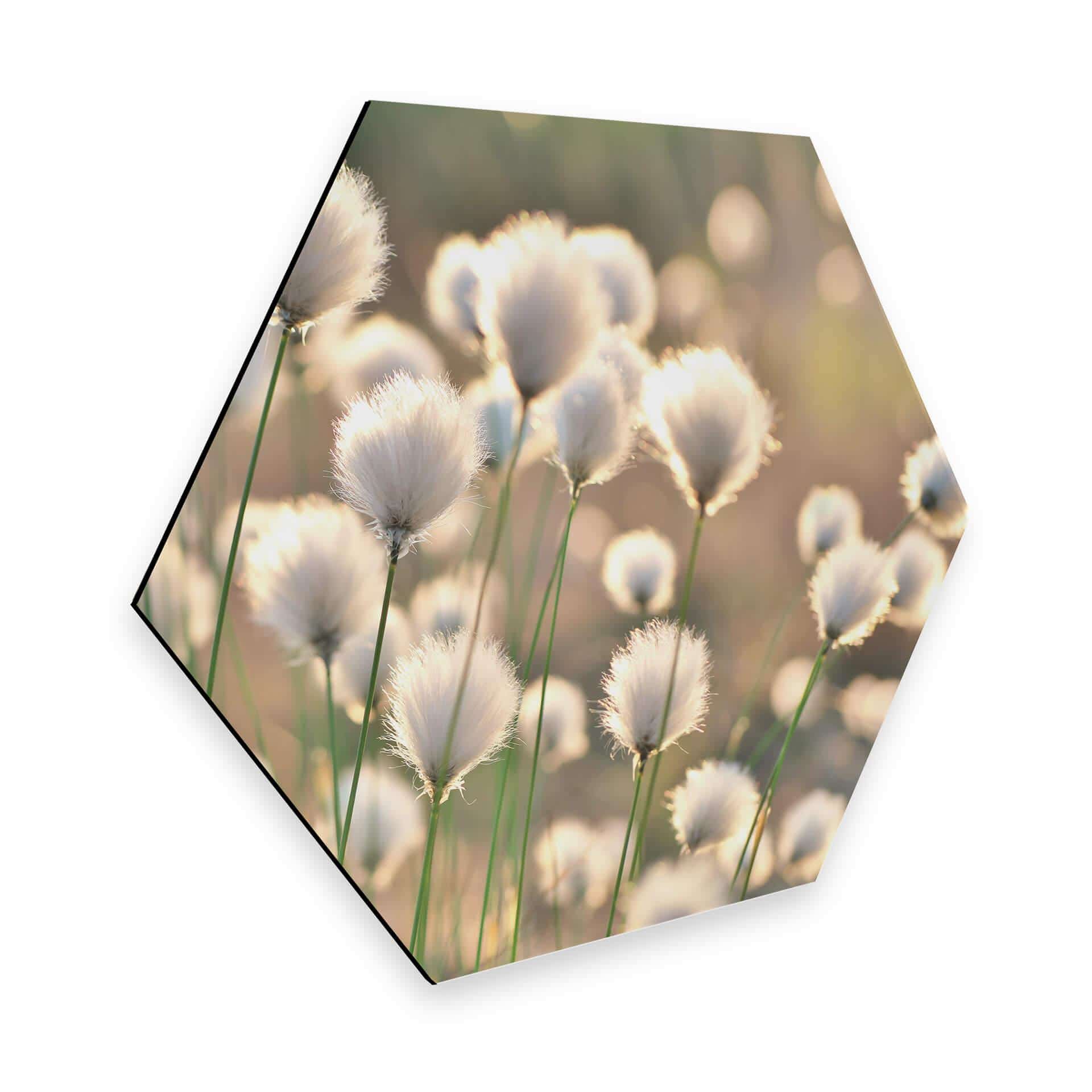 Hexagon - Alu-Dibond Delgado - Flower Magic